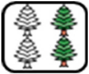 Forests 16 01507 i014