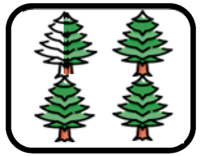 Forests 16 01507 i016