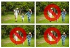 Forests 16 01507 i023