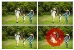 Forests 16 01507 i024