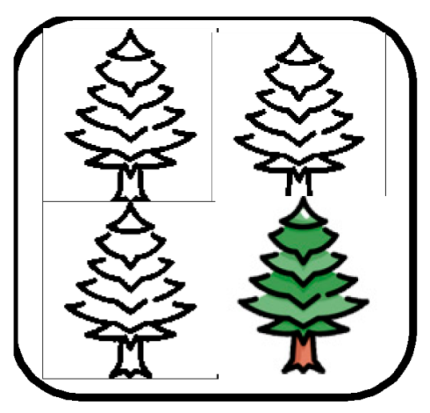 Forests 16 01507 i028