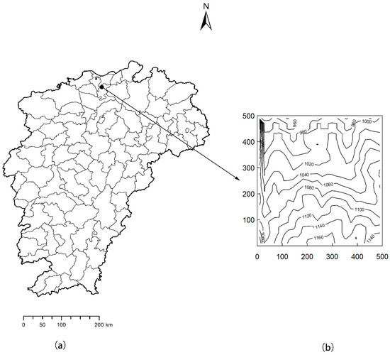 Linne Sportbike - 🔥🏍️ Kawasaki Ninja ZX Series – The Ultimate