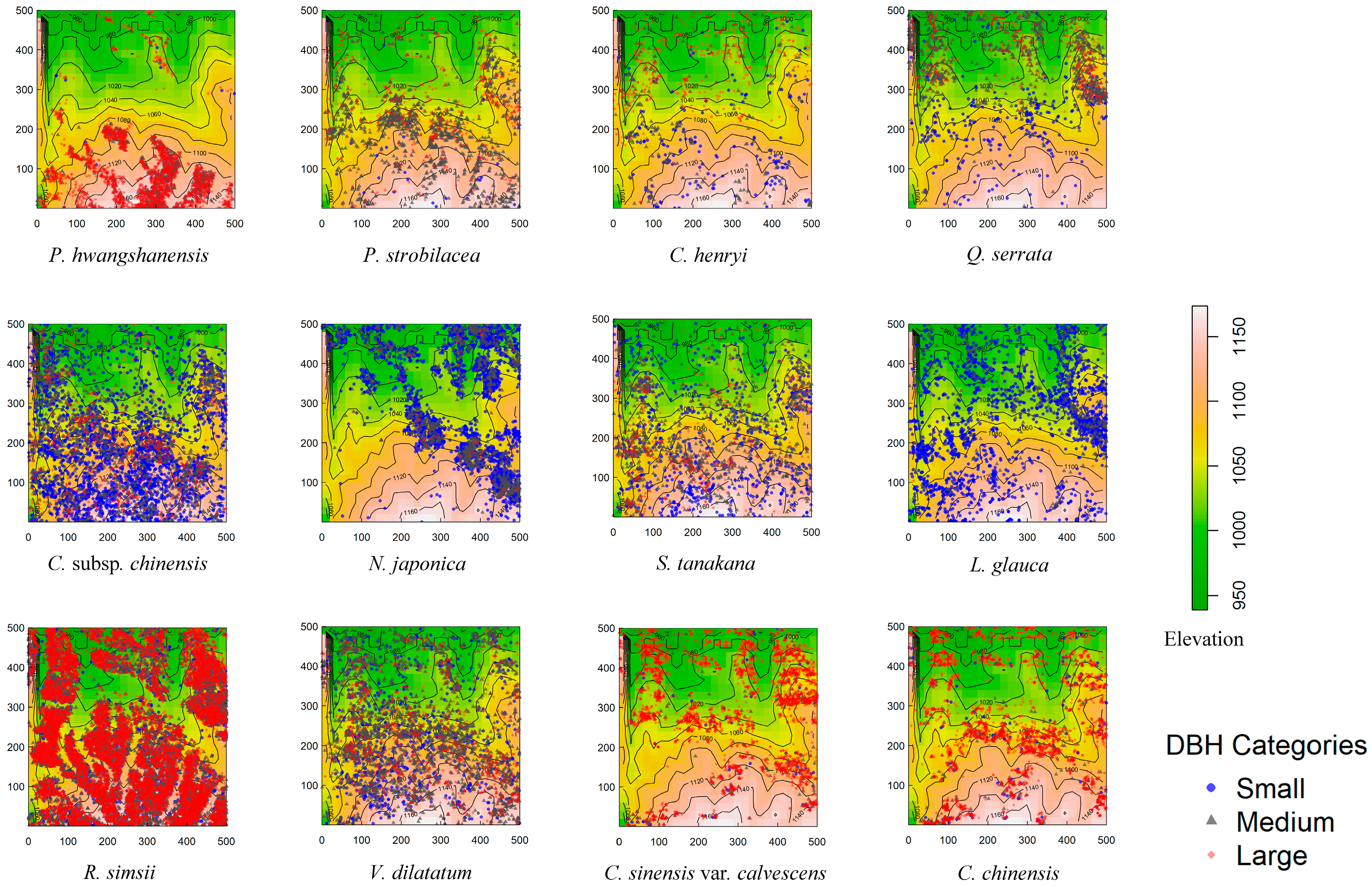 Forests 16 01511 g002 Forests 16 01511 g002