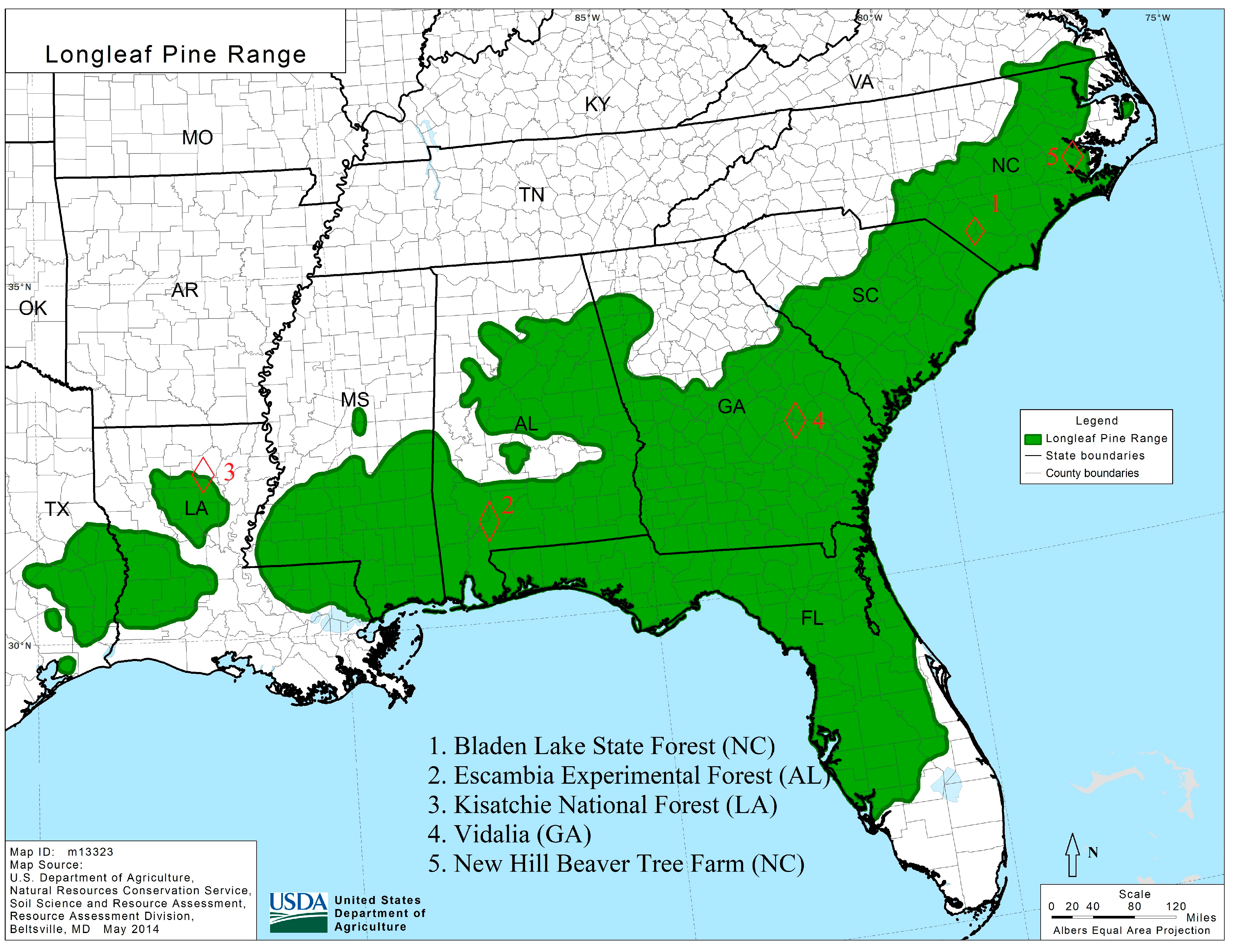 Forests 16 01512 g001