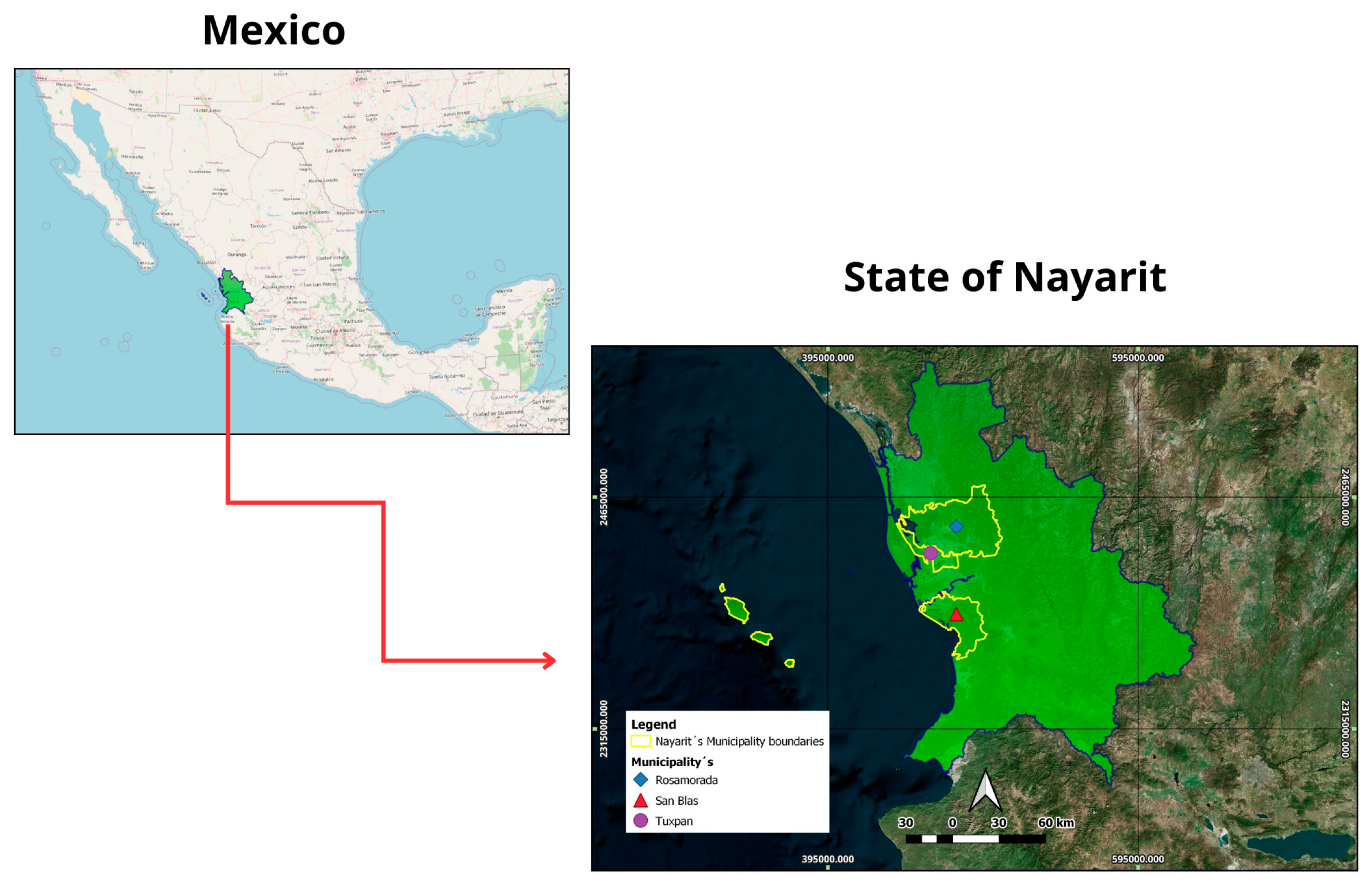 Forests 16 01521 g001