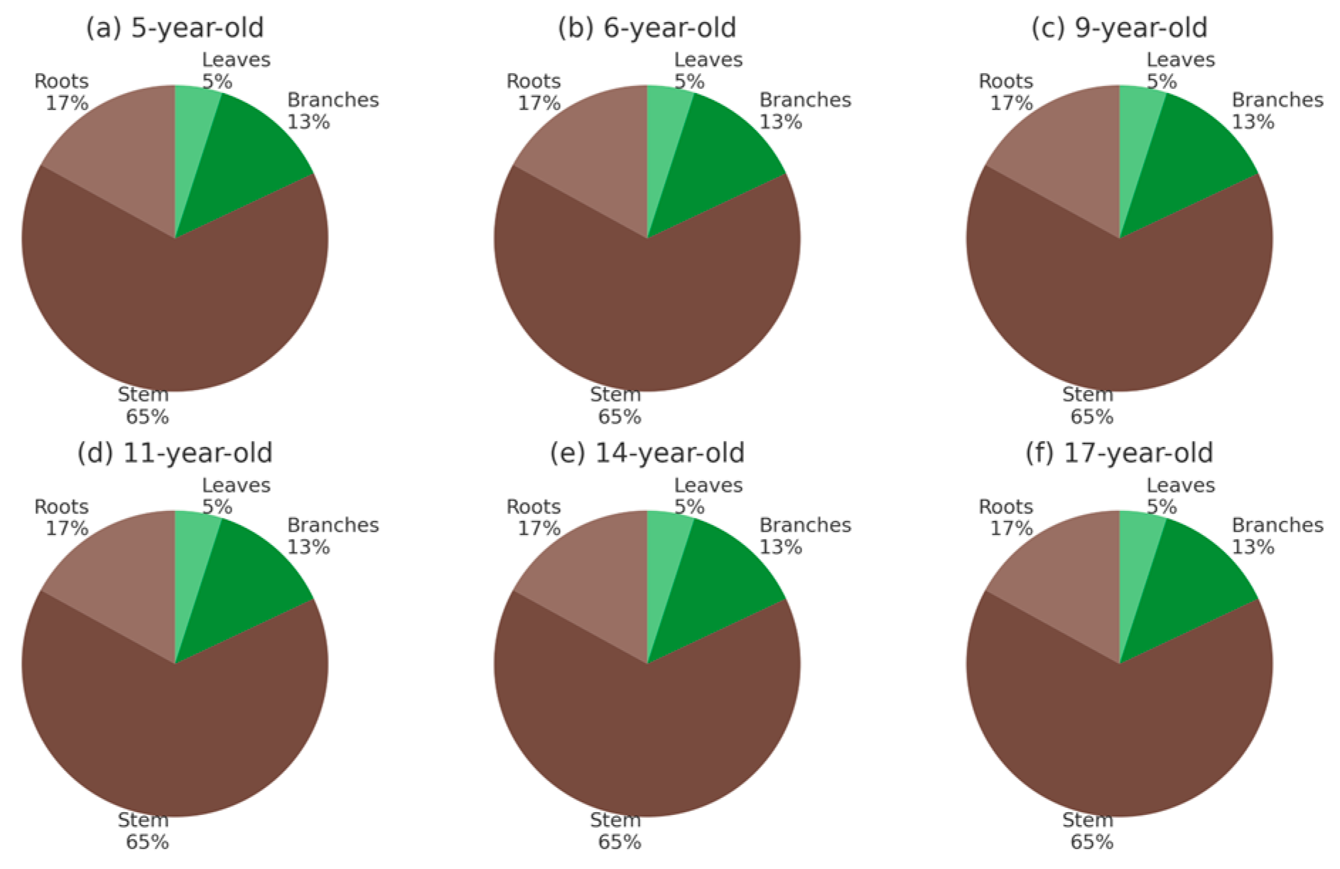 Forests 16 01521 g006