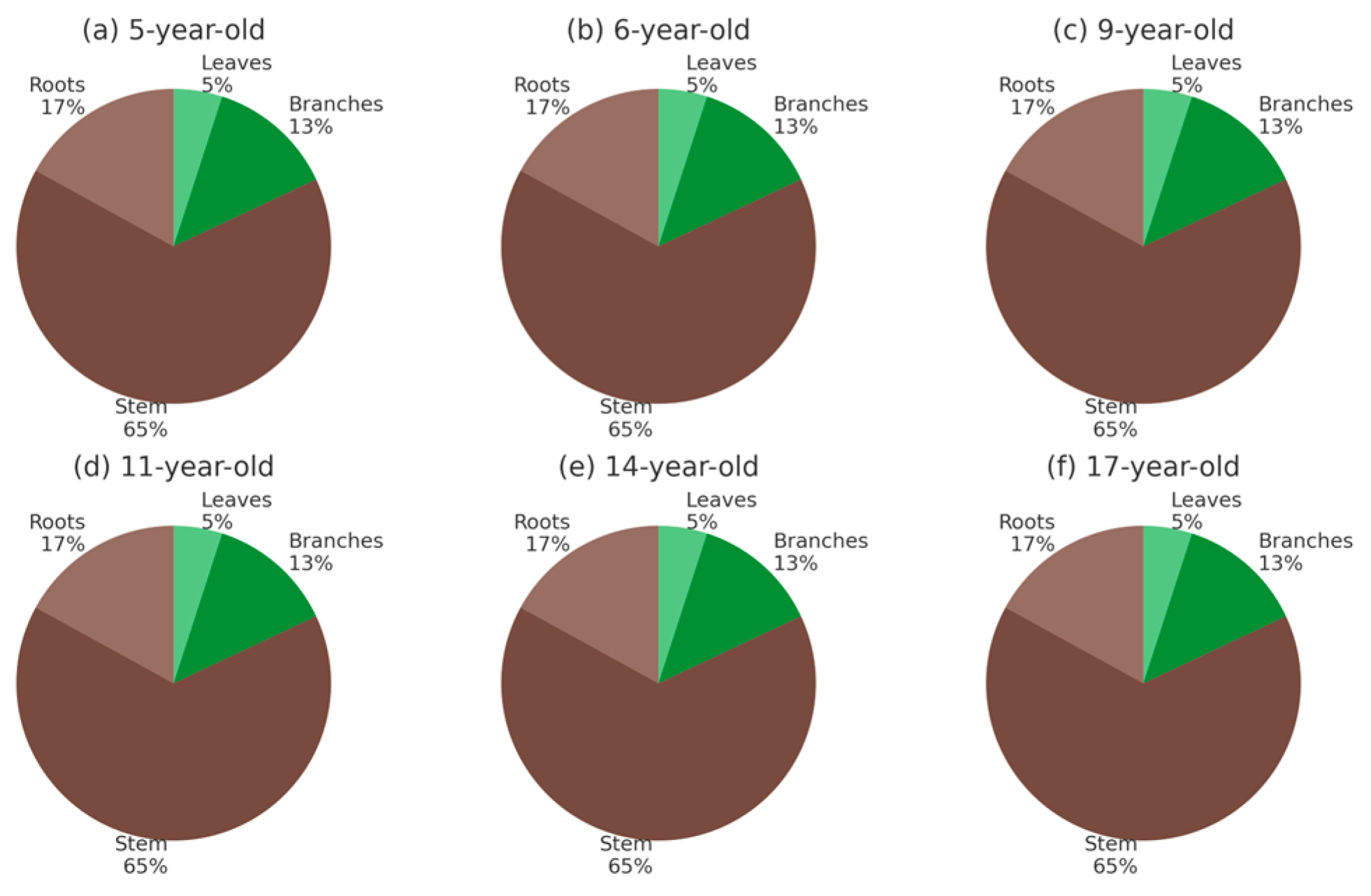 Forests 16 01521 g007