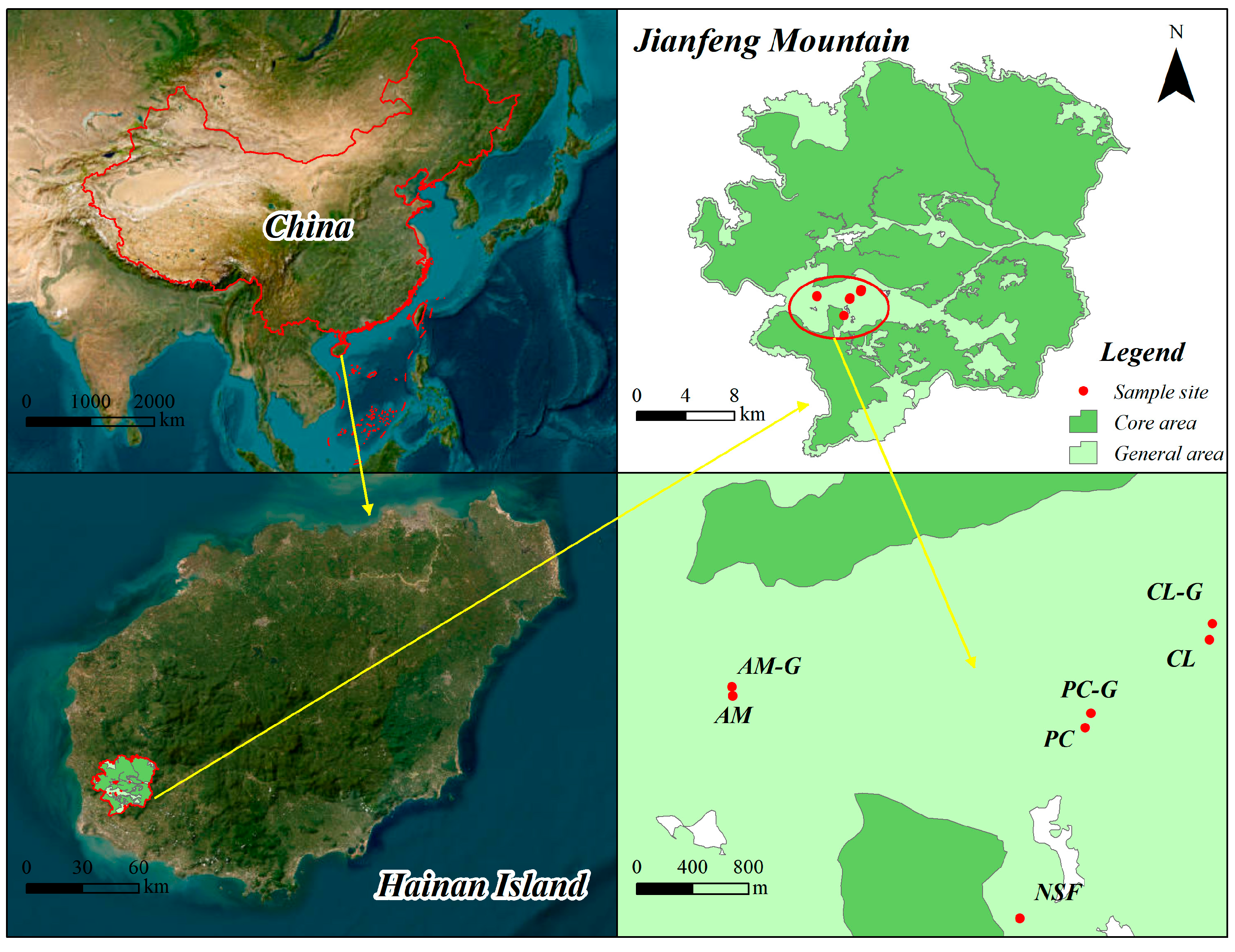 Forests 16 01522 g001 Forests 16 01522 g001