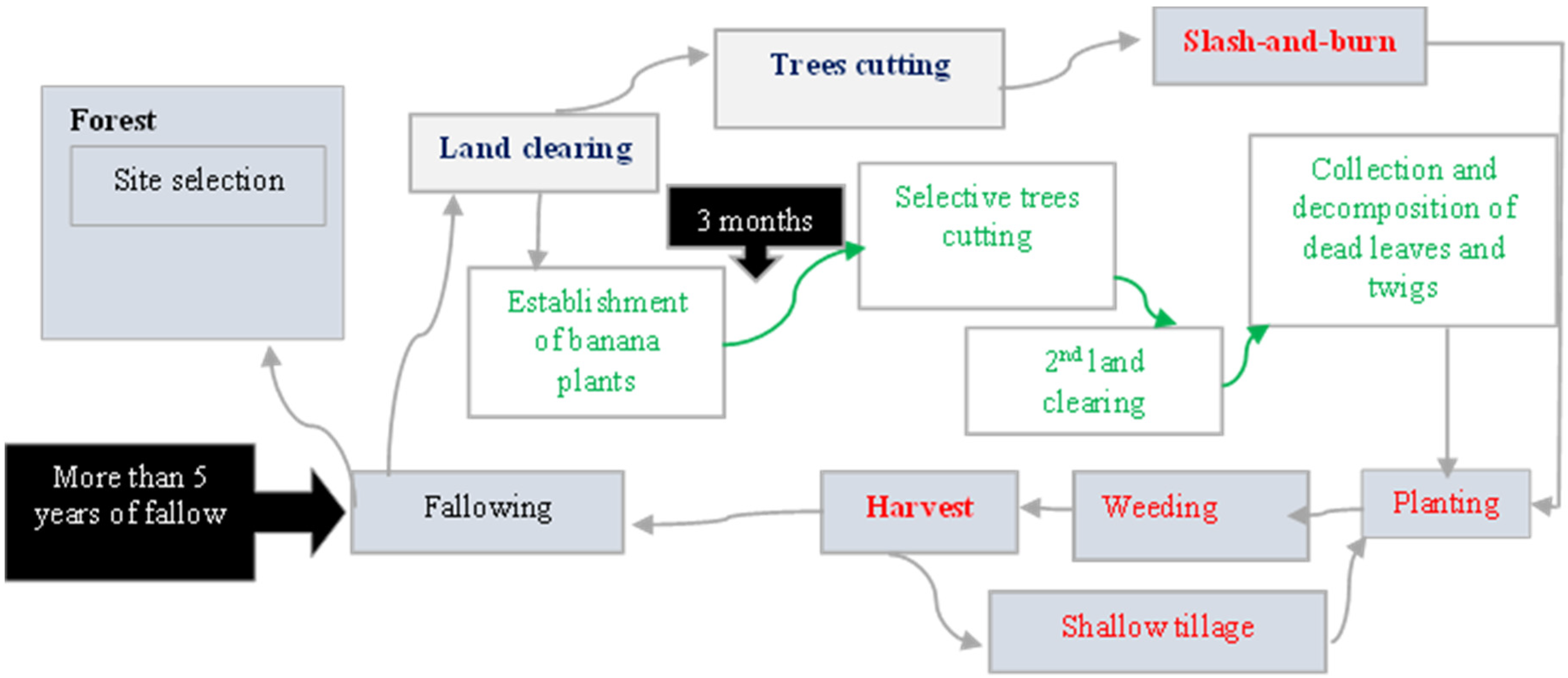 Forests 16 01523 g009 Forests 16 01523 g009