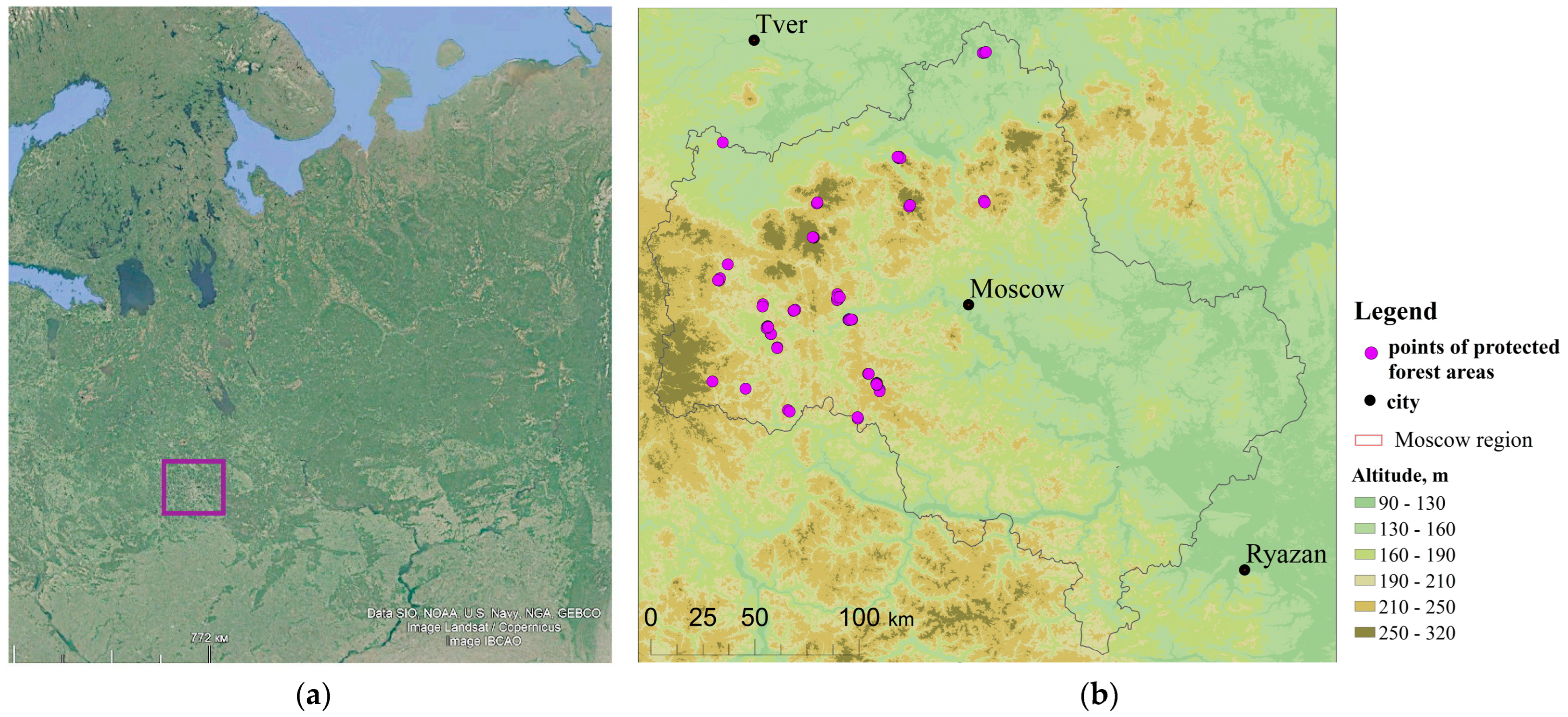 Forests 16 01526 g001