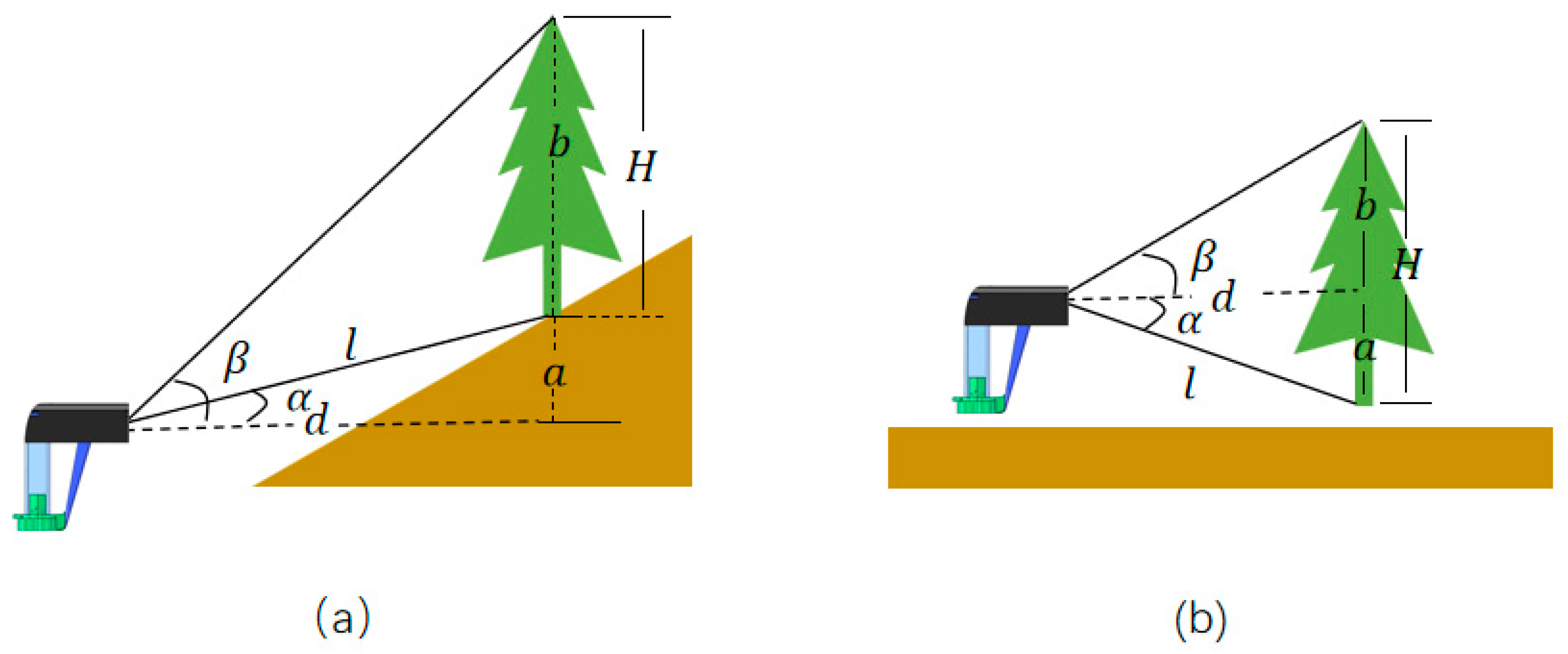 Forests 16 01529 g006 Forests 16 01529 g006
