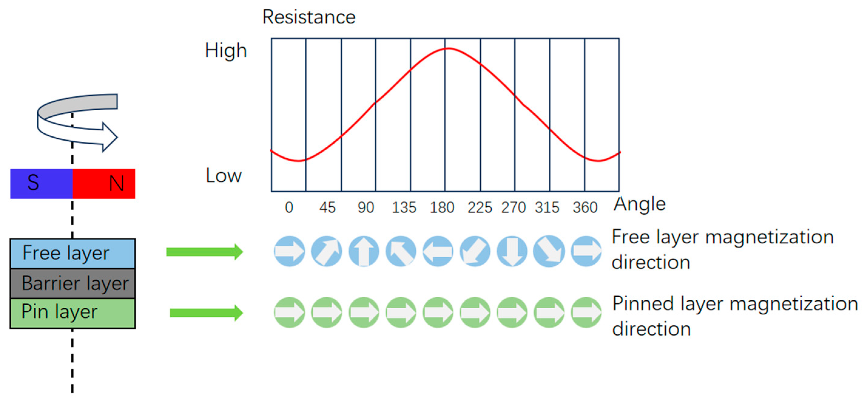 Forests 16 01529 g007 Forests 16 01529 g007