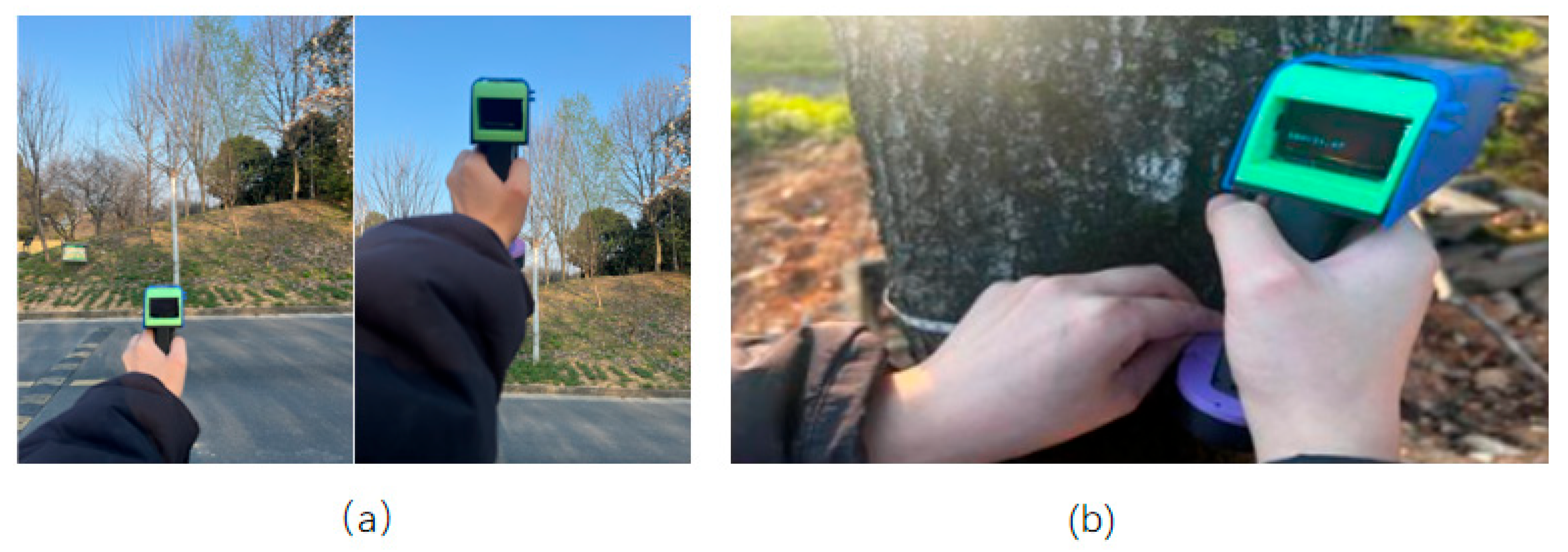 Forests 16 01529 g011 Forests 16 01529 g011