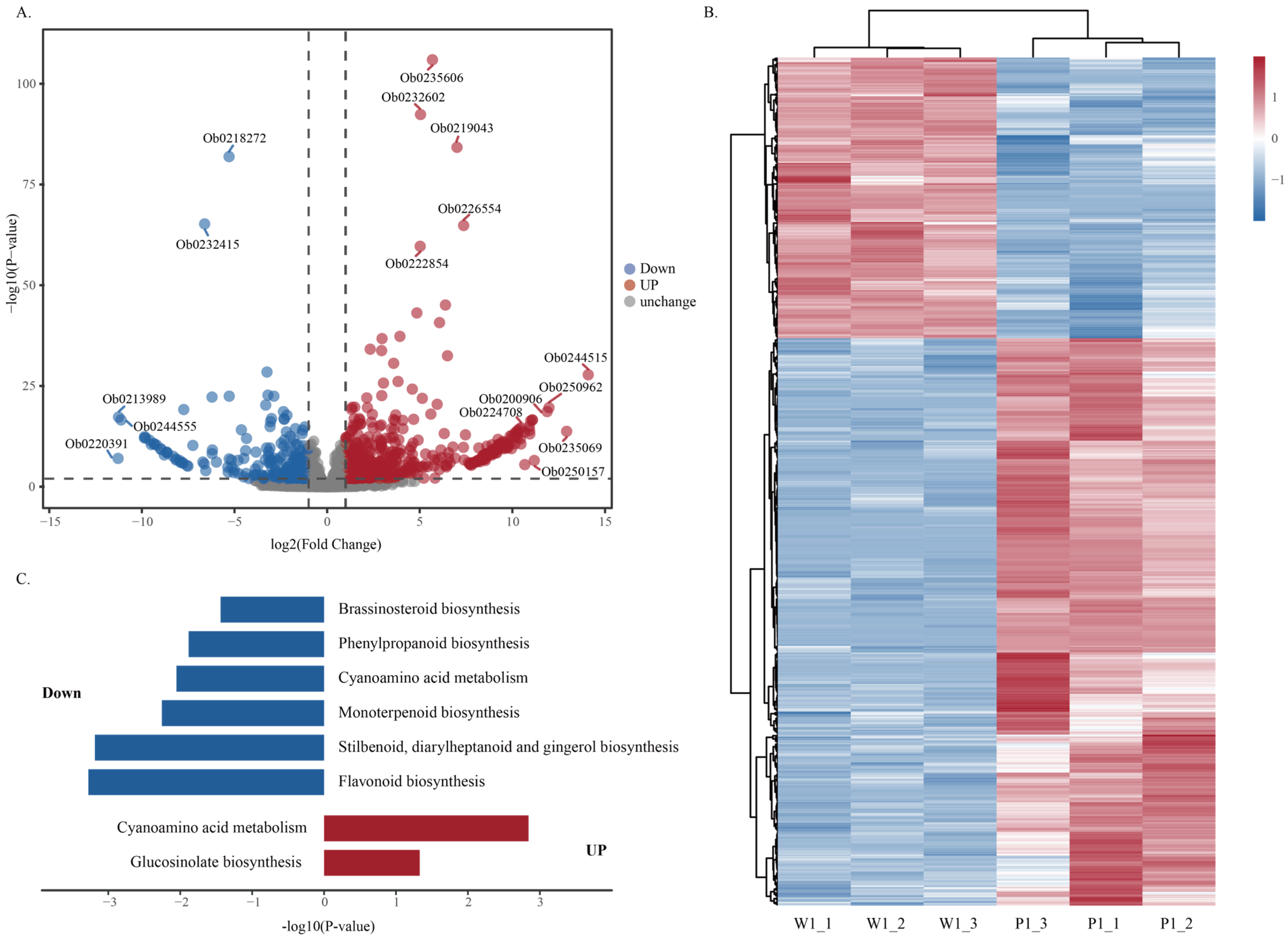 Forests 16 01532 g002 Forests 16 01532 g002