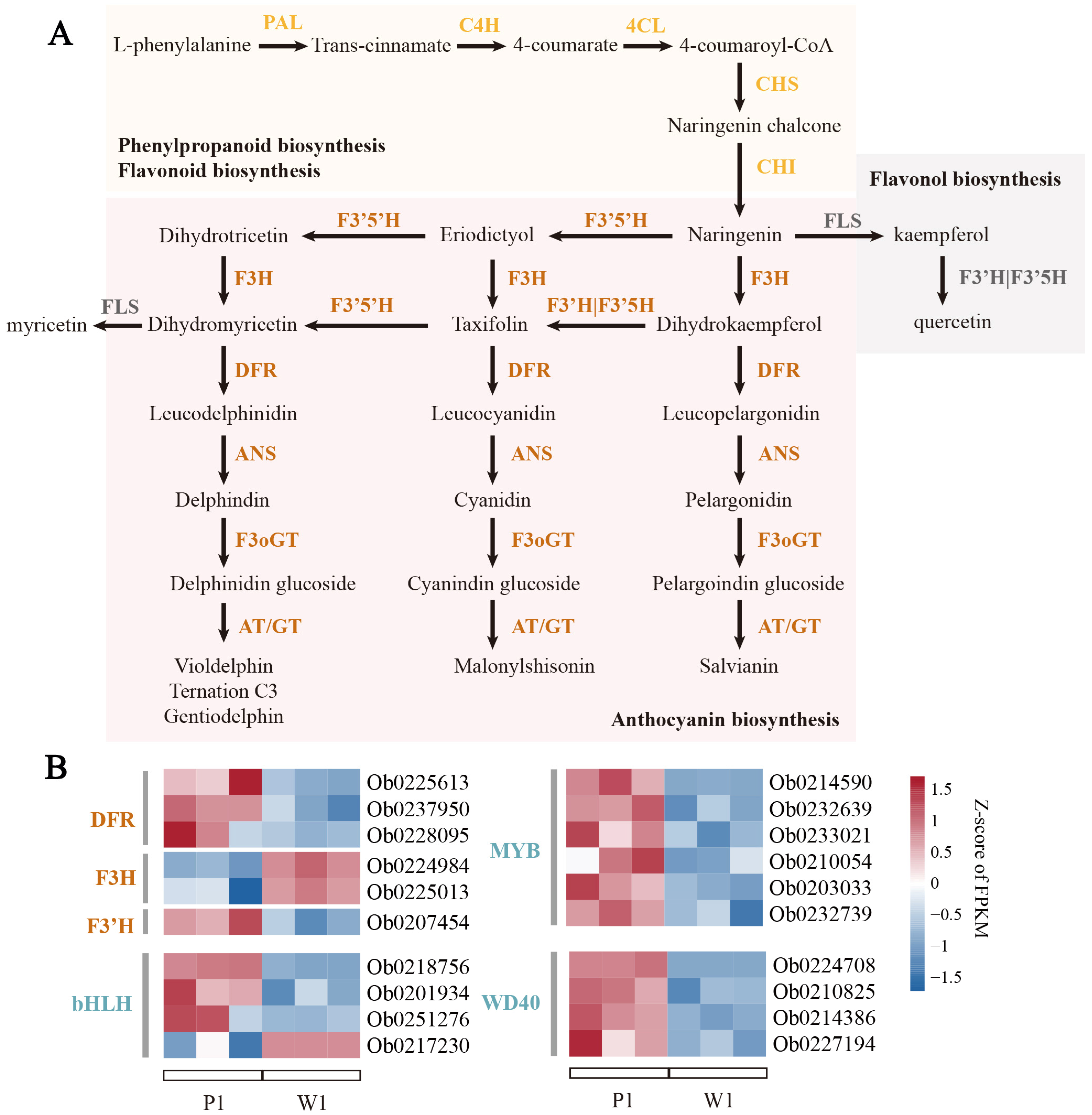 Forests 16 01532 g003 Forests 16 01532 g003