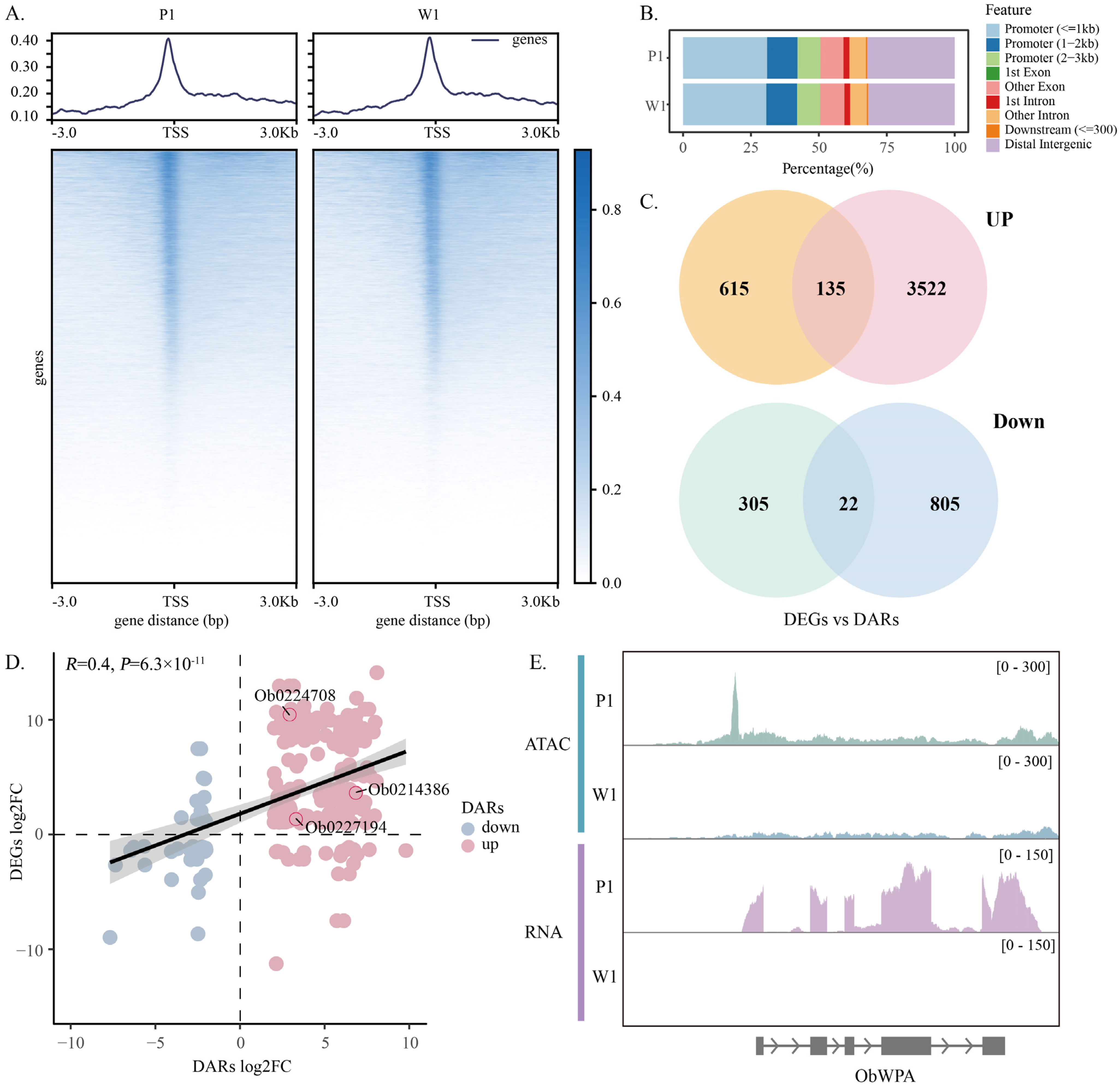 Forests 16 01532 g004 Forests 16 01532 g004