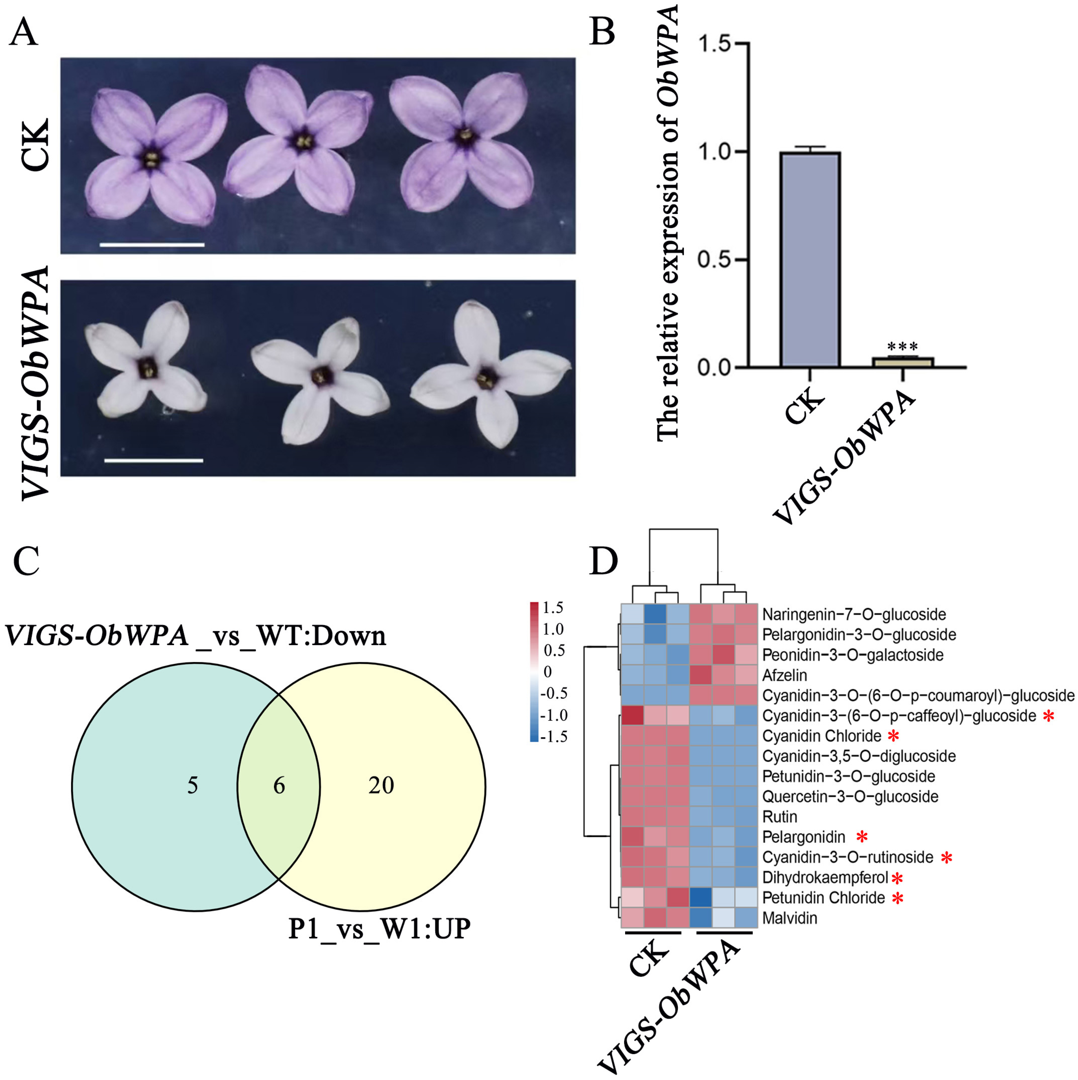 Forests 16 01532 g005 Forests 16 01532 g005