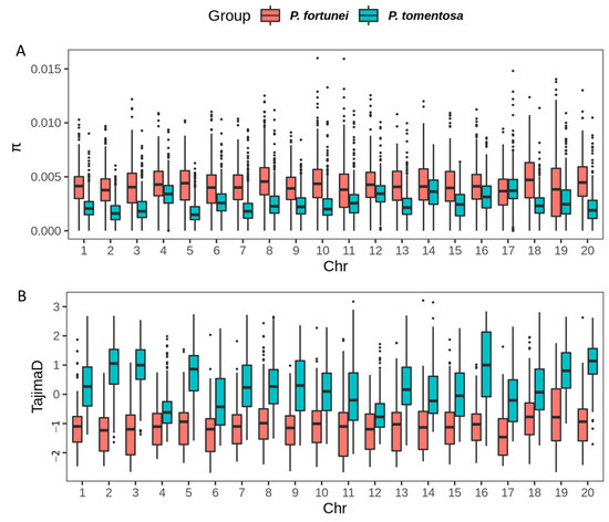 Whole-Genome Resequencing Provides Insights into the Genetic