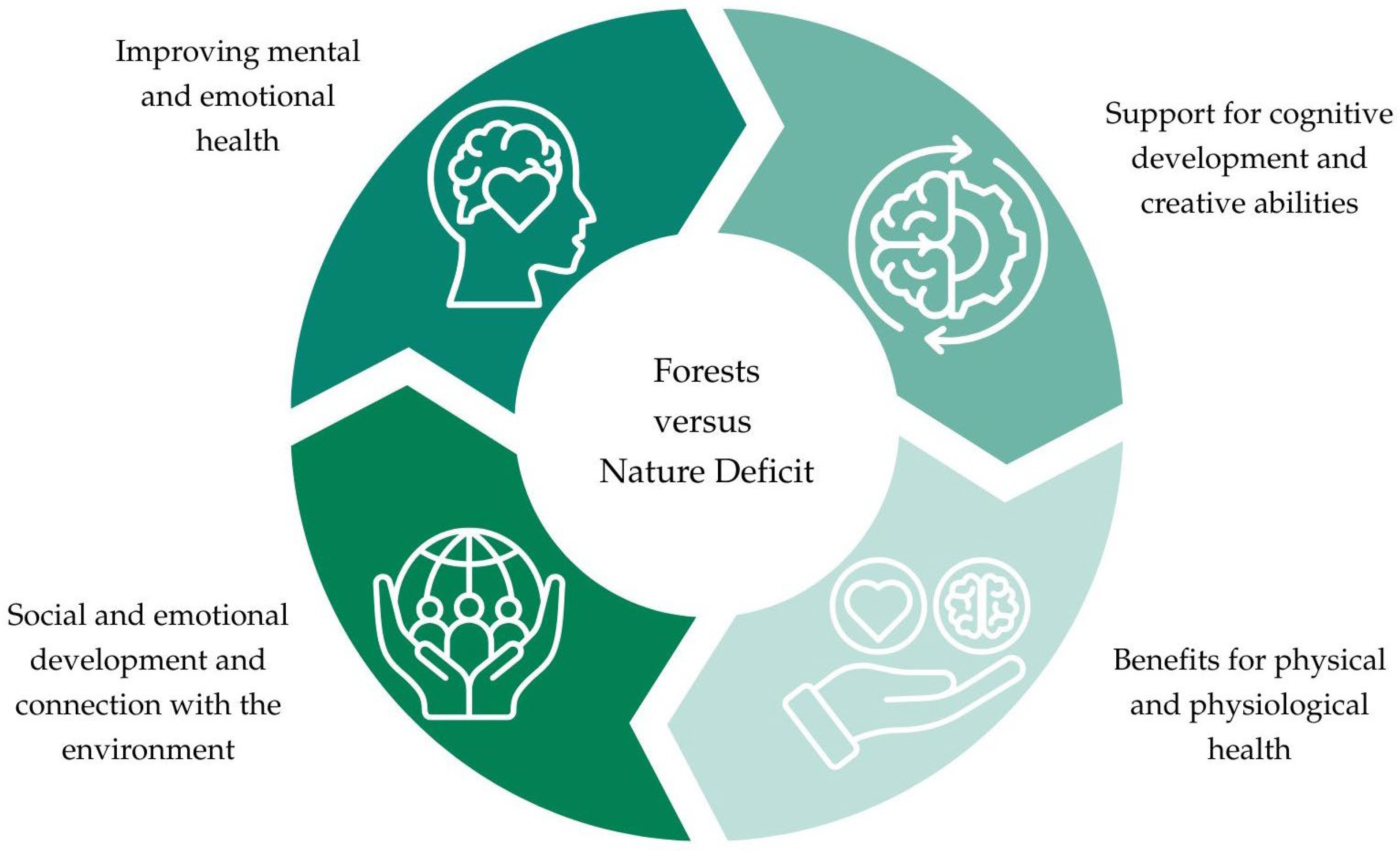 Forests 16 01537 g004