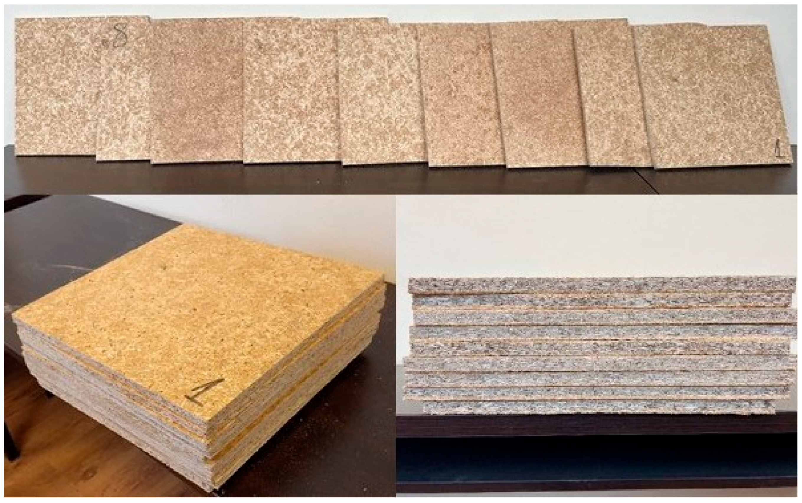 Forests 16 01541 g003