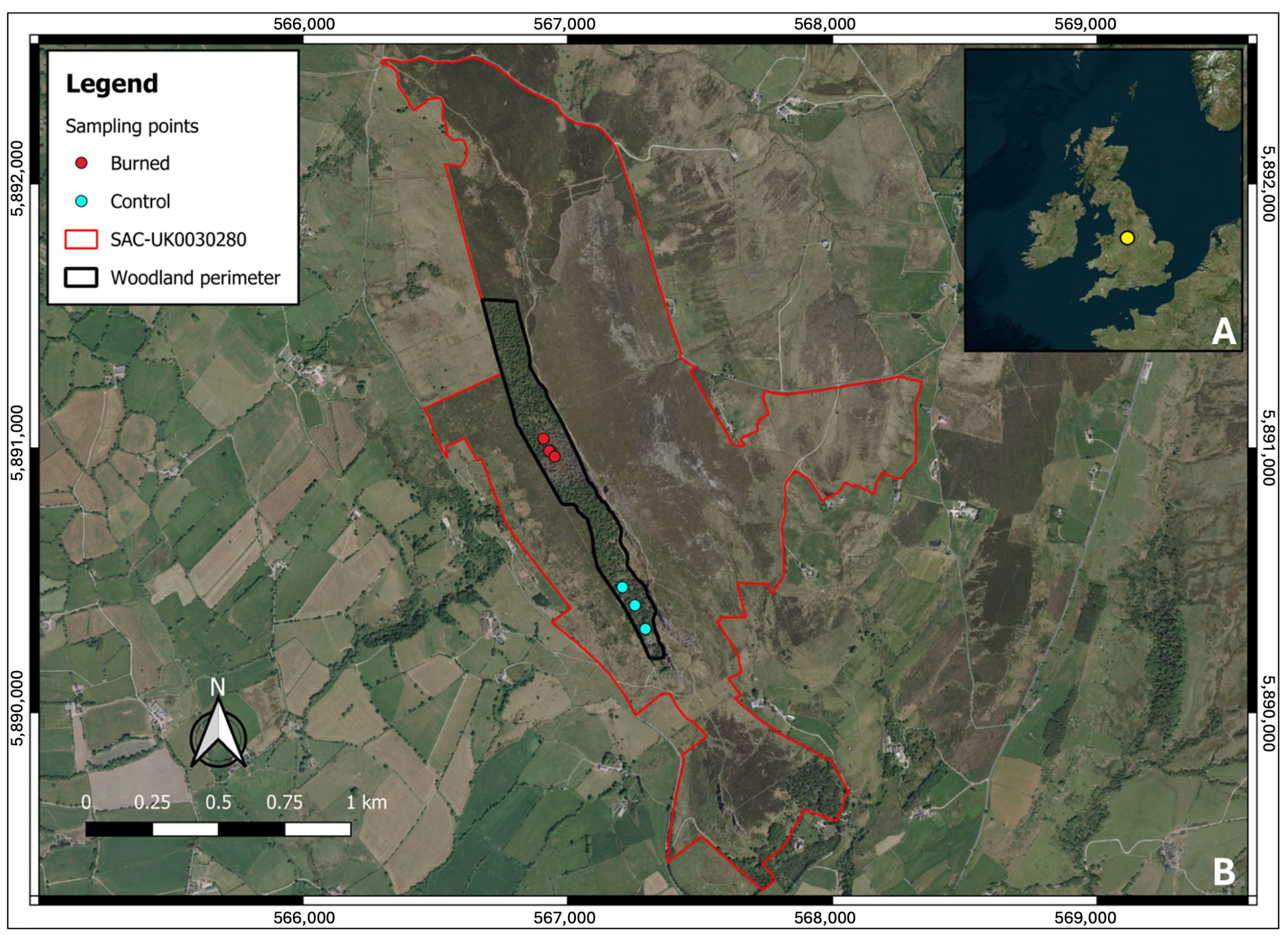 Forests 16 01547 g001