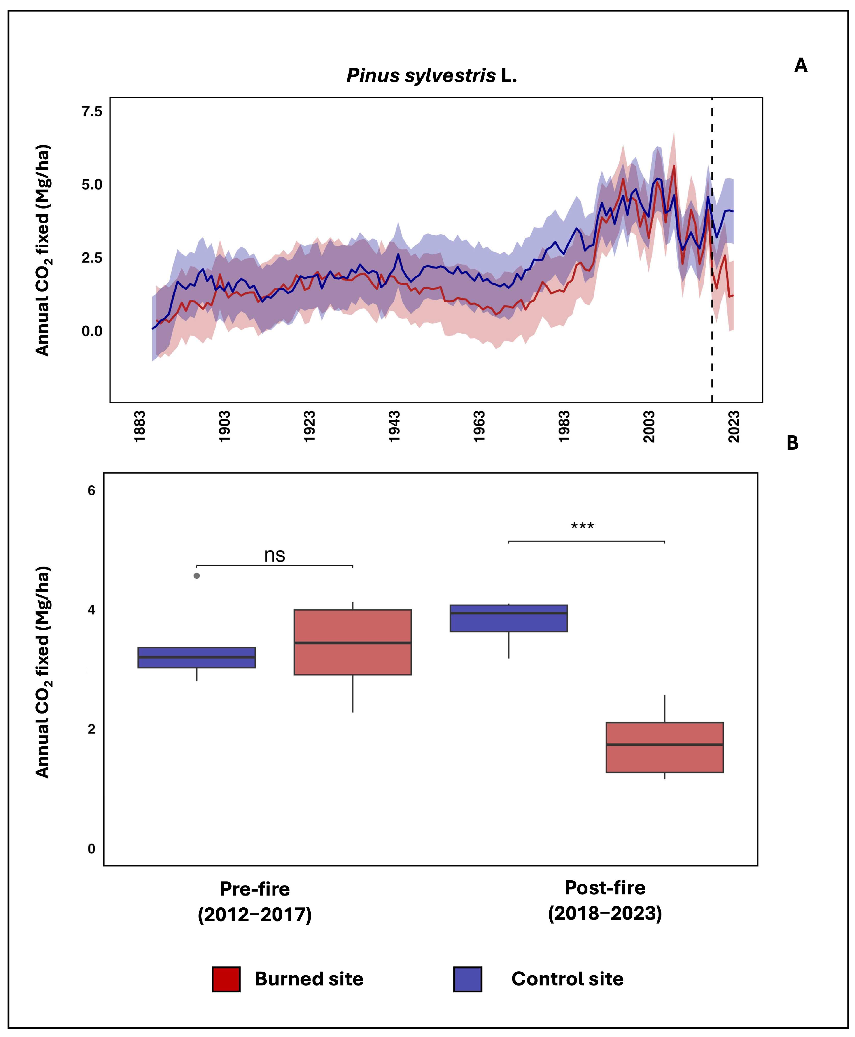 Forests 16 01547 g003