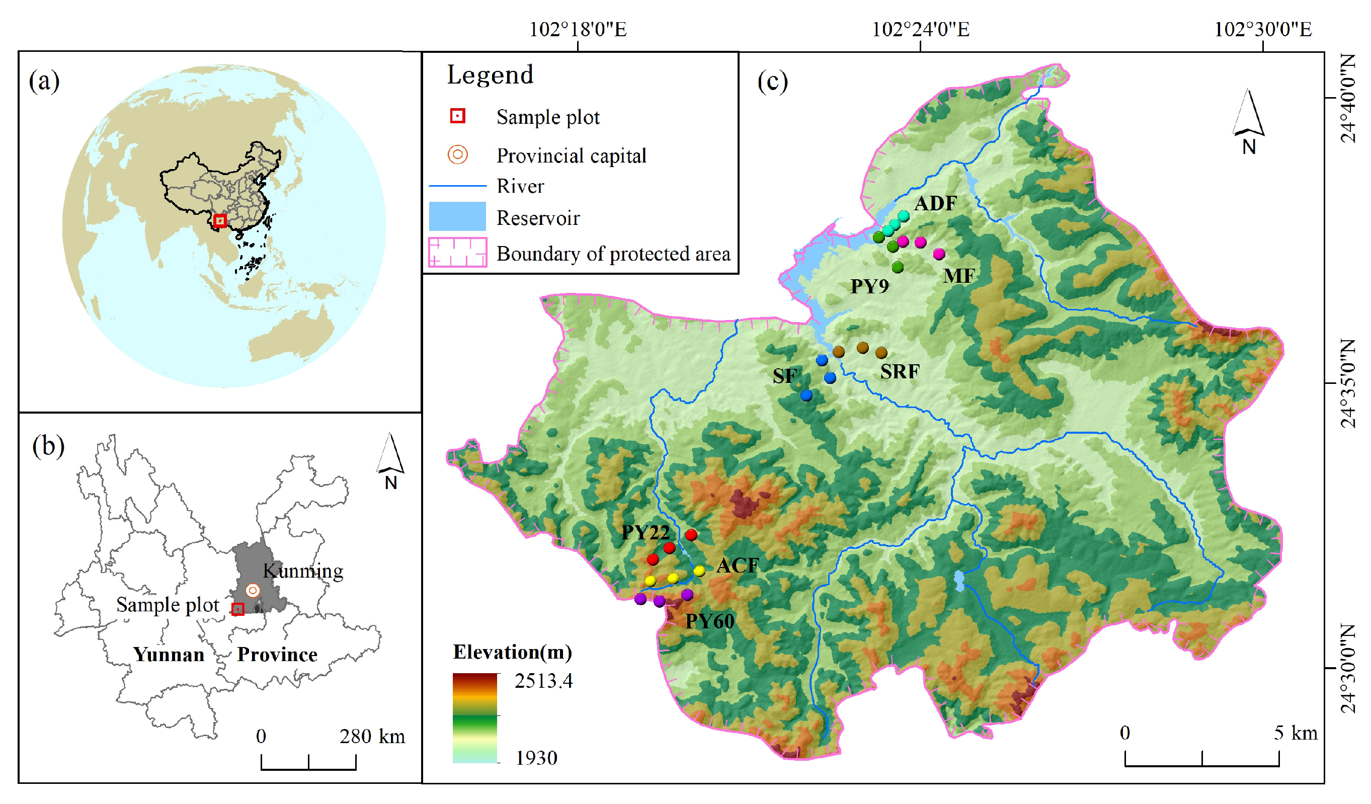 Forests 16 01548 g001