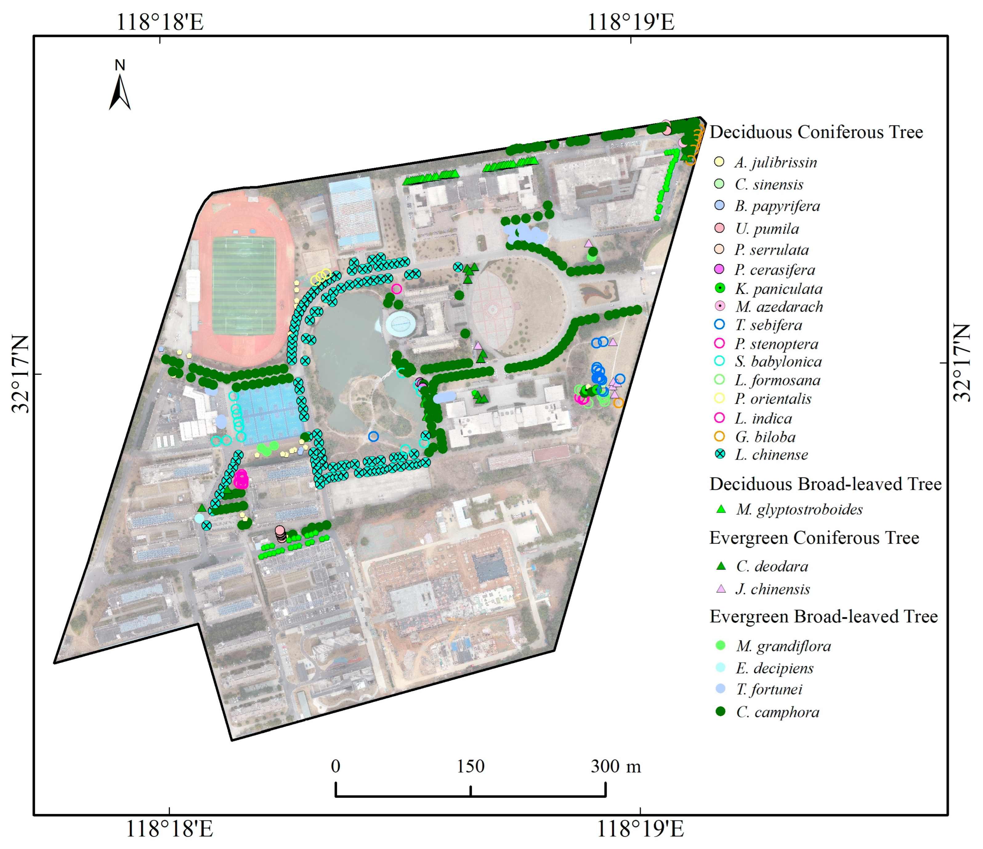 Forests 16 01550 g002 Forests 16 01550 g002
