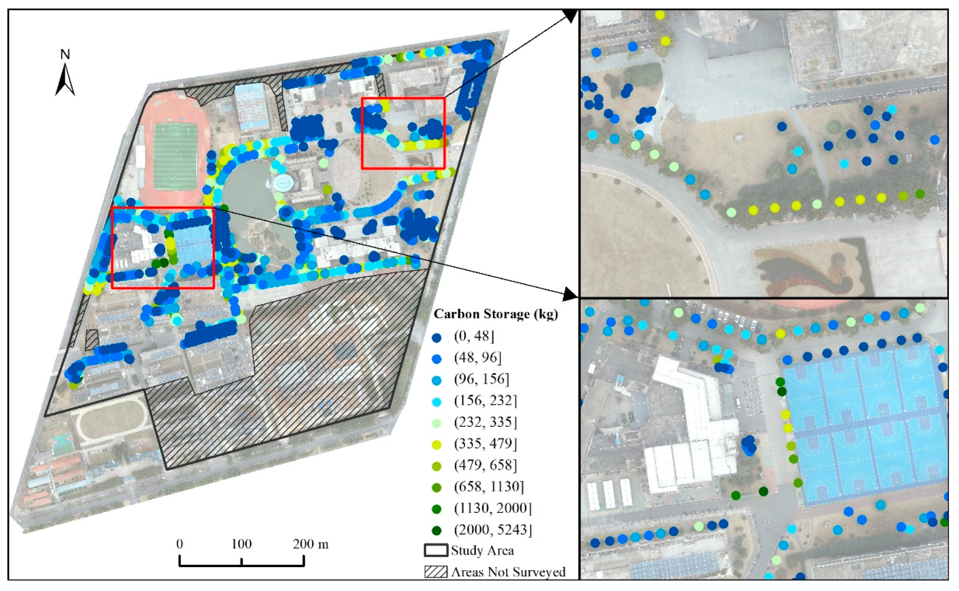 Forests 16 01550 g006 Forests 16 01550 g006