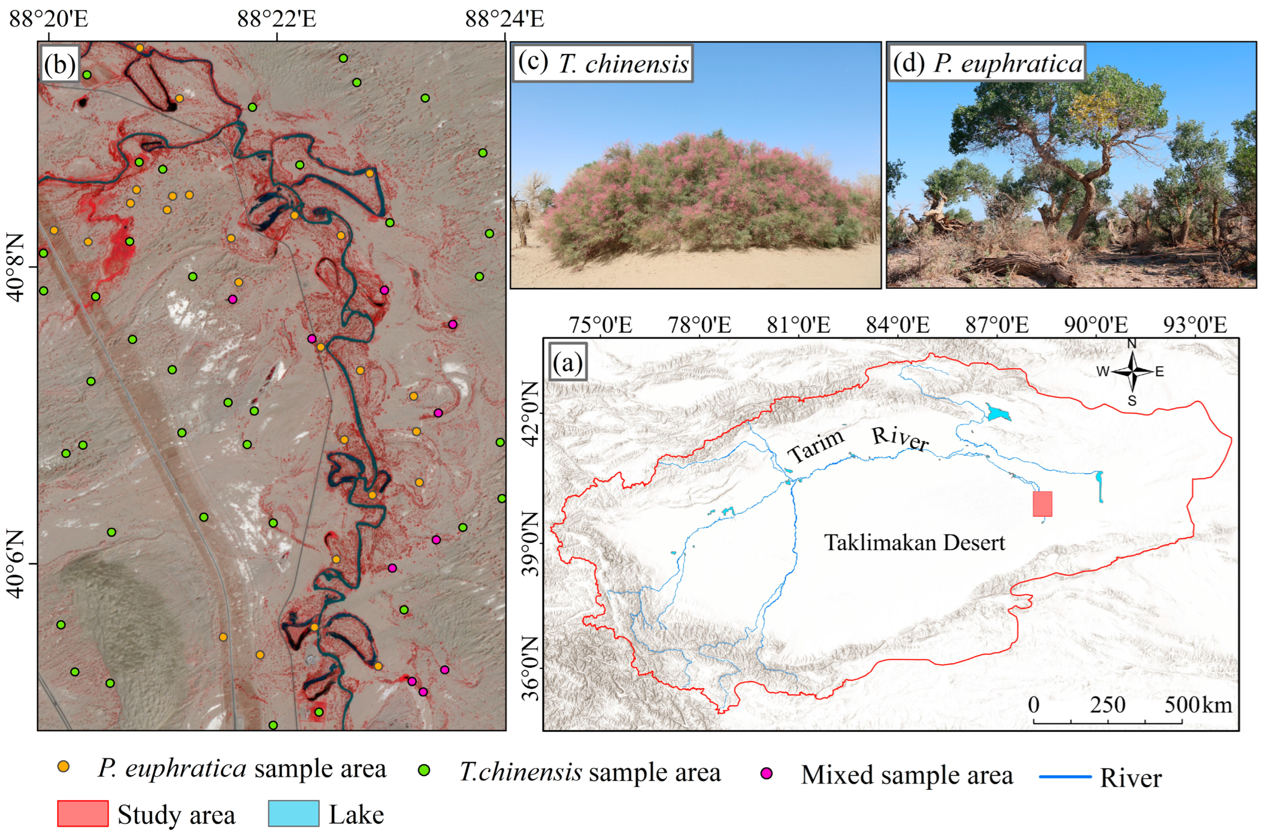 Forests 16 01560 g001 Forests 16 01560 g001