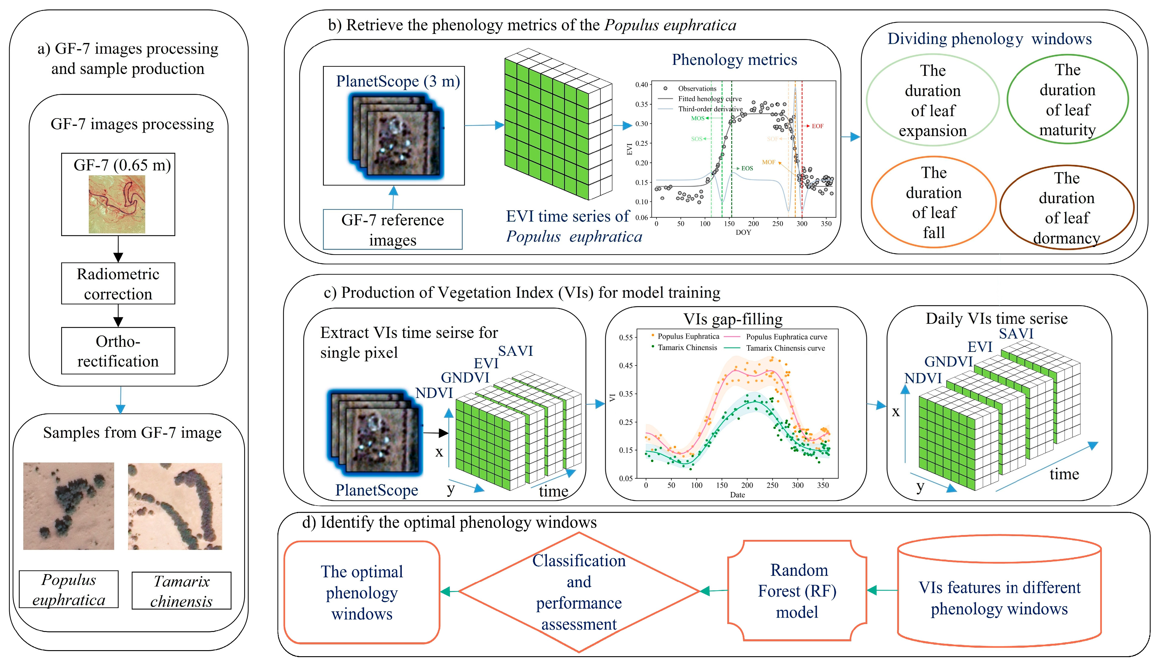 Forests 16 01560 g003 Forests 16 01560 g003