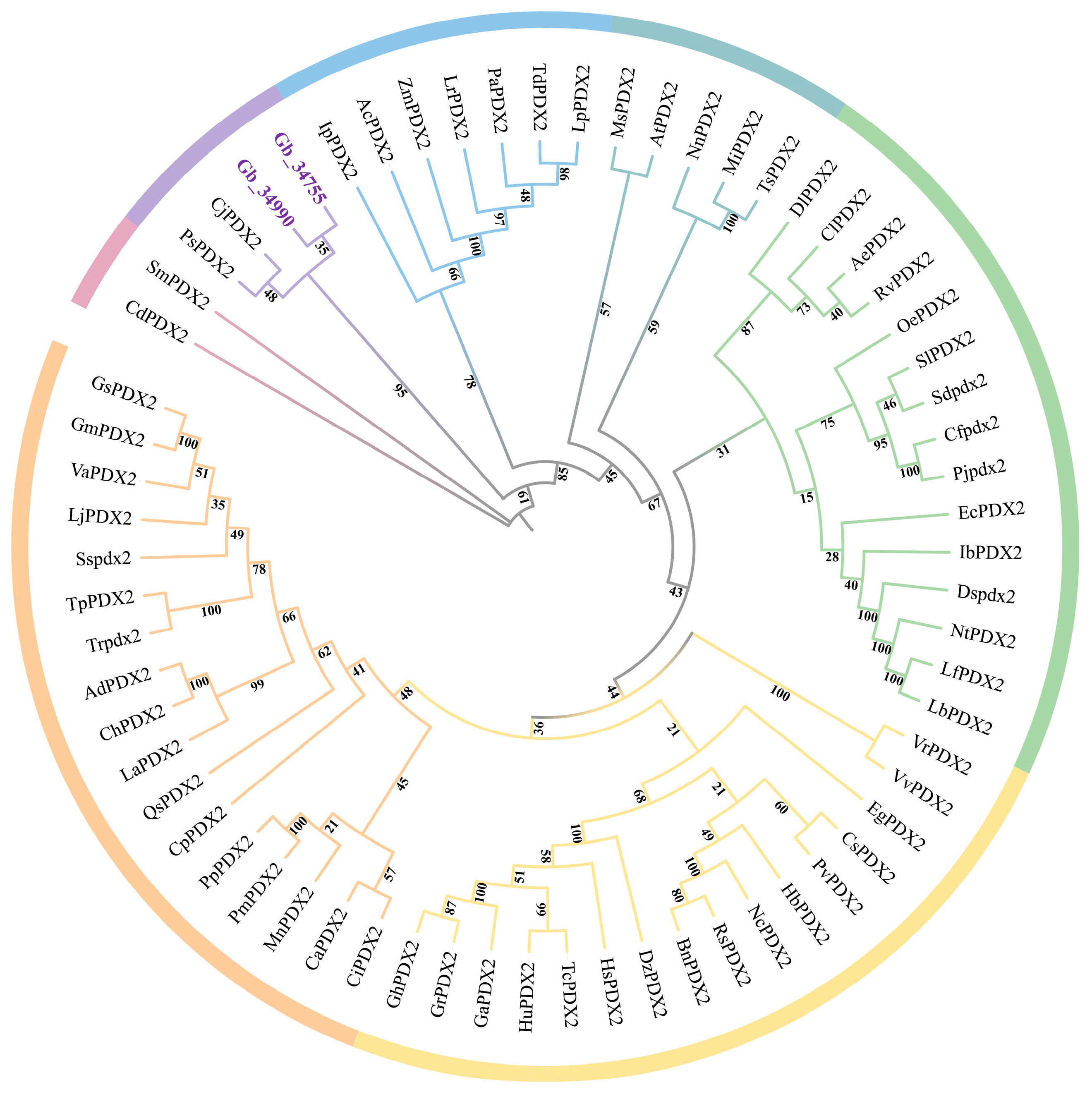 Forests 16 01562 g002