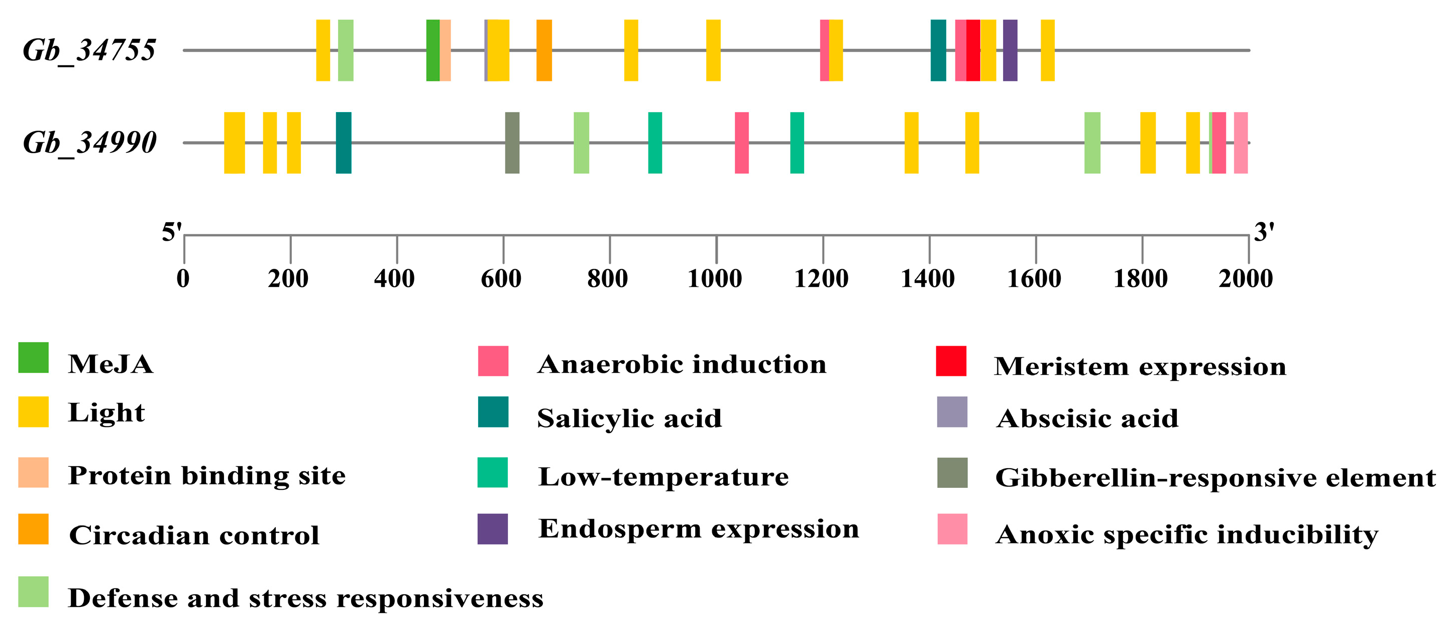 Forests 16 01562 g003