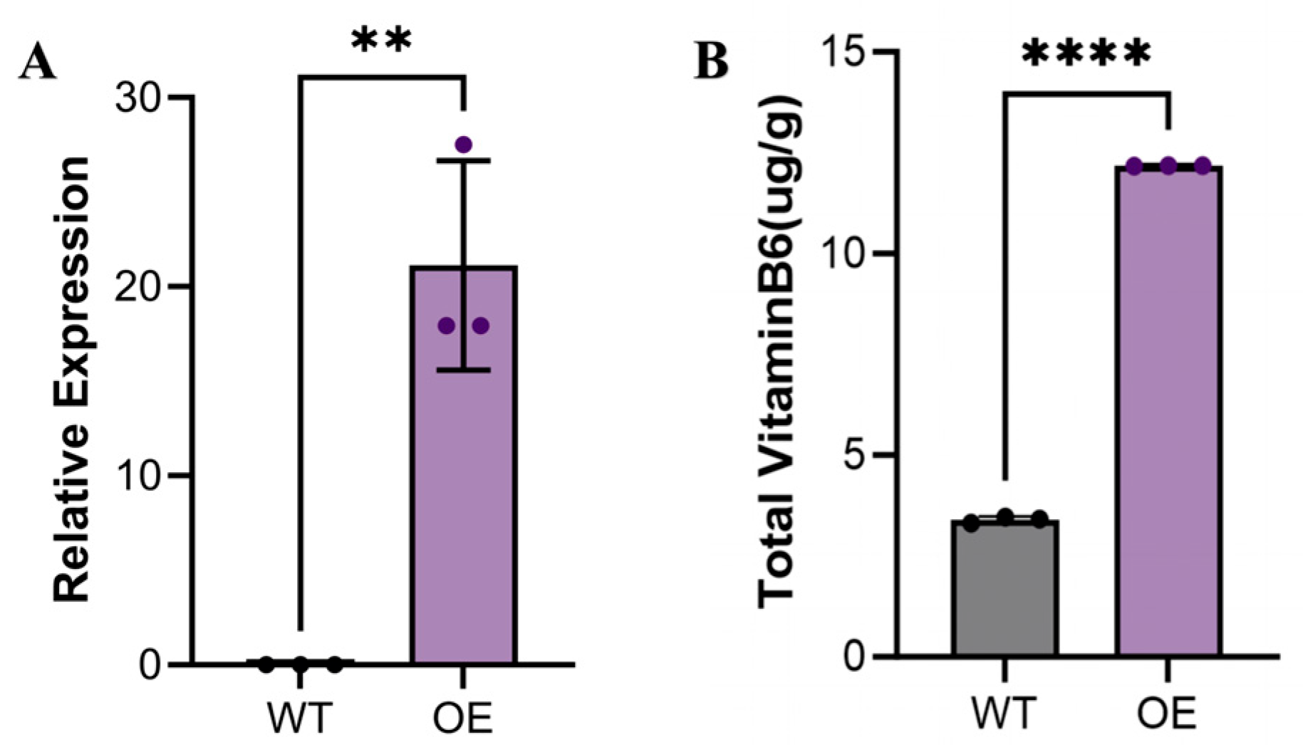 Forests 16 01562 g008