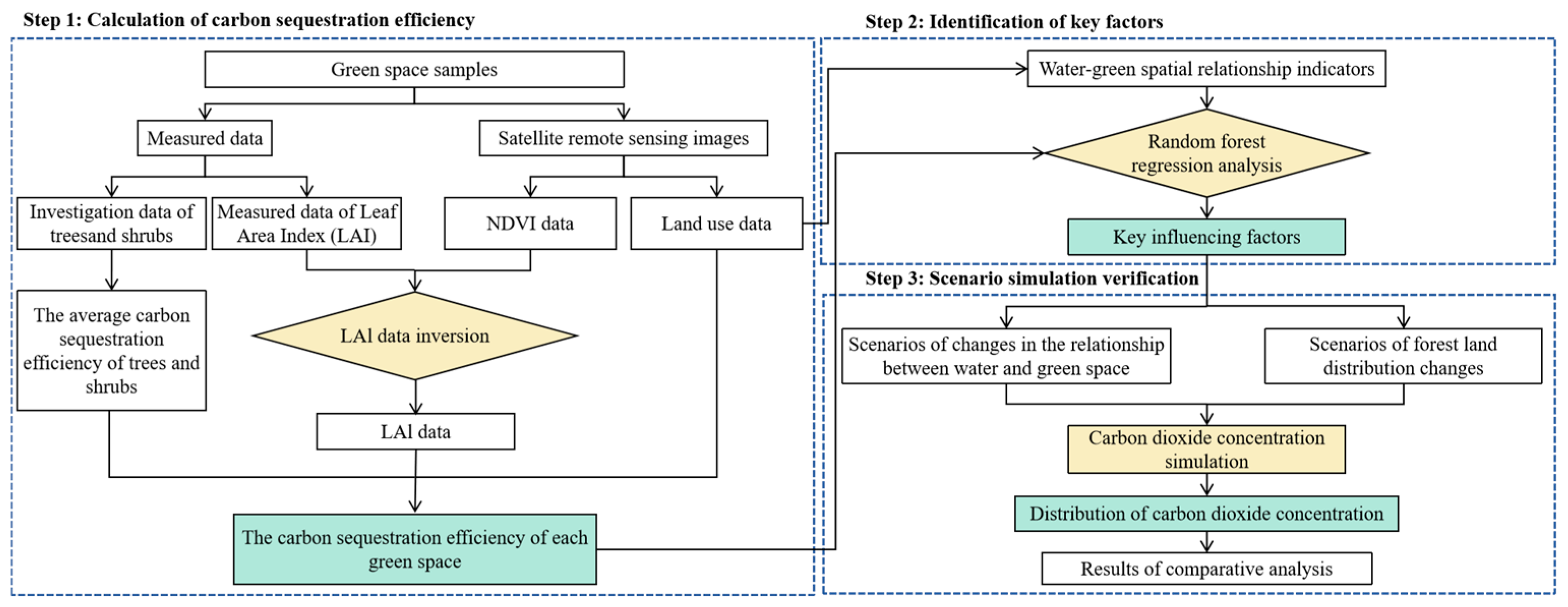 Forests 16 01563 g001