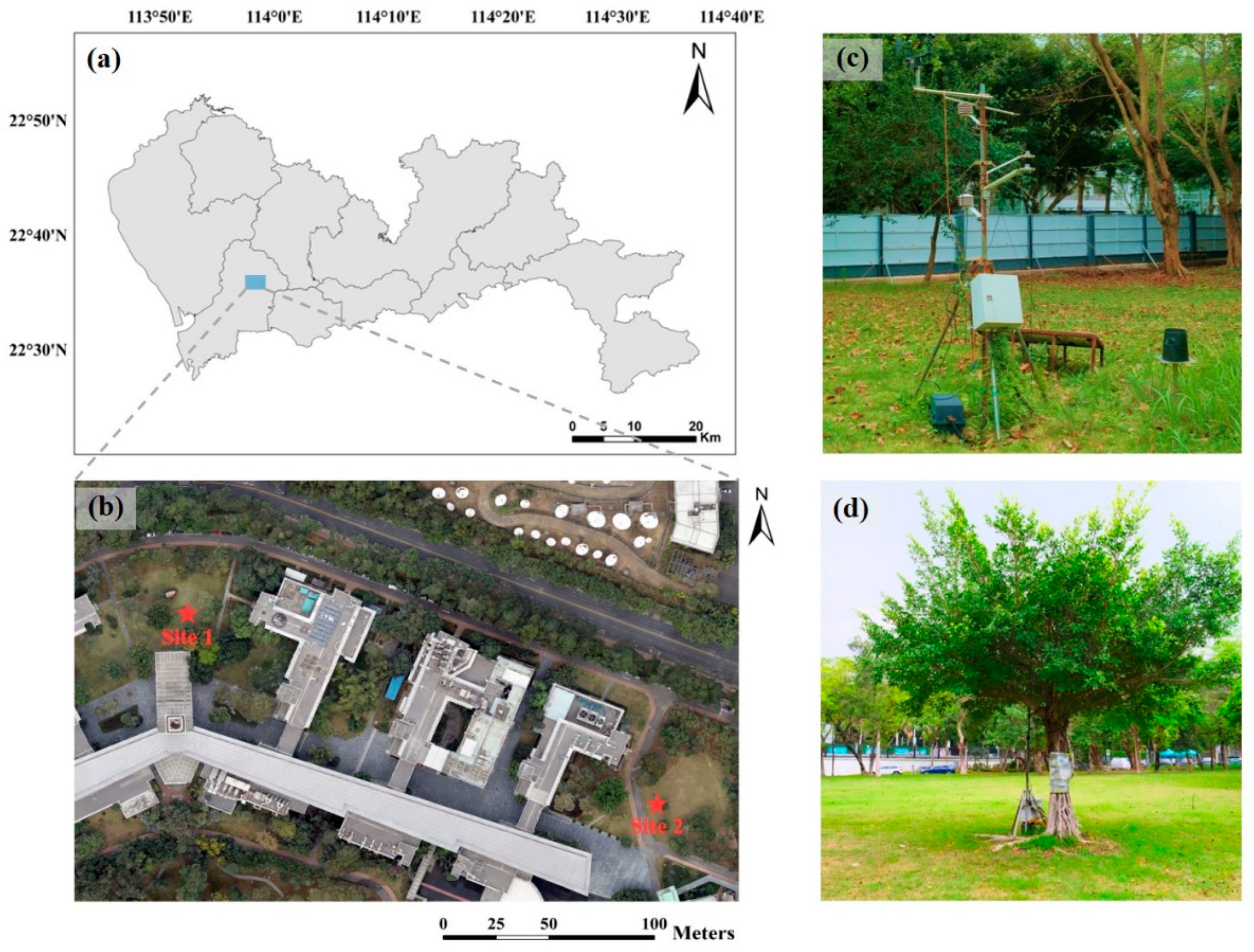 Forests 16 01564 g001