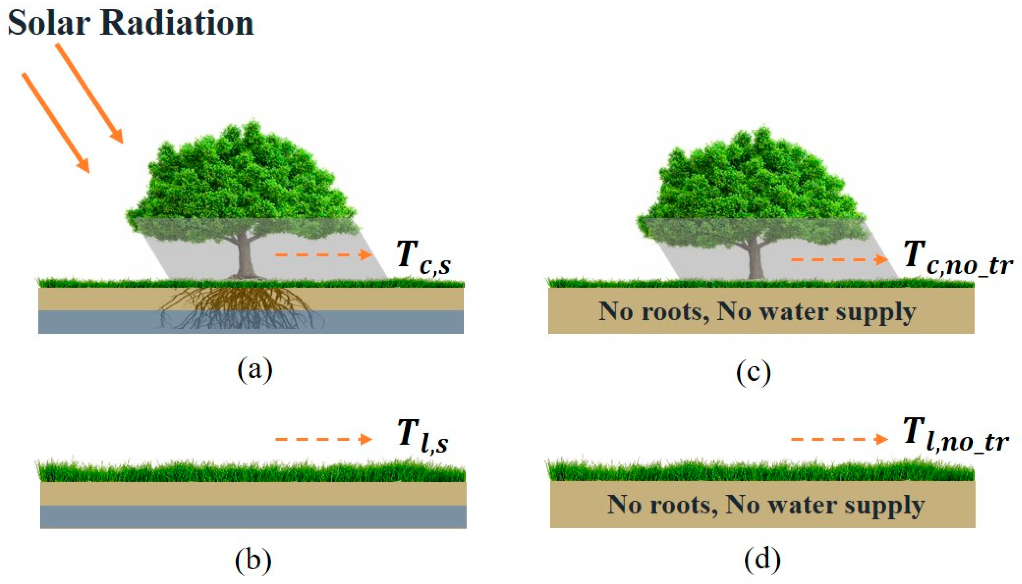 Forests 16 01564 g002