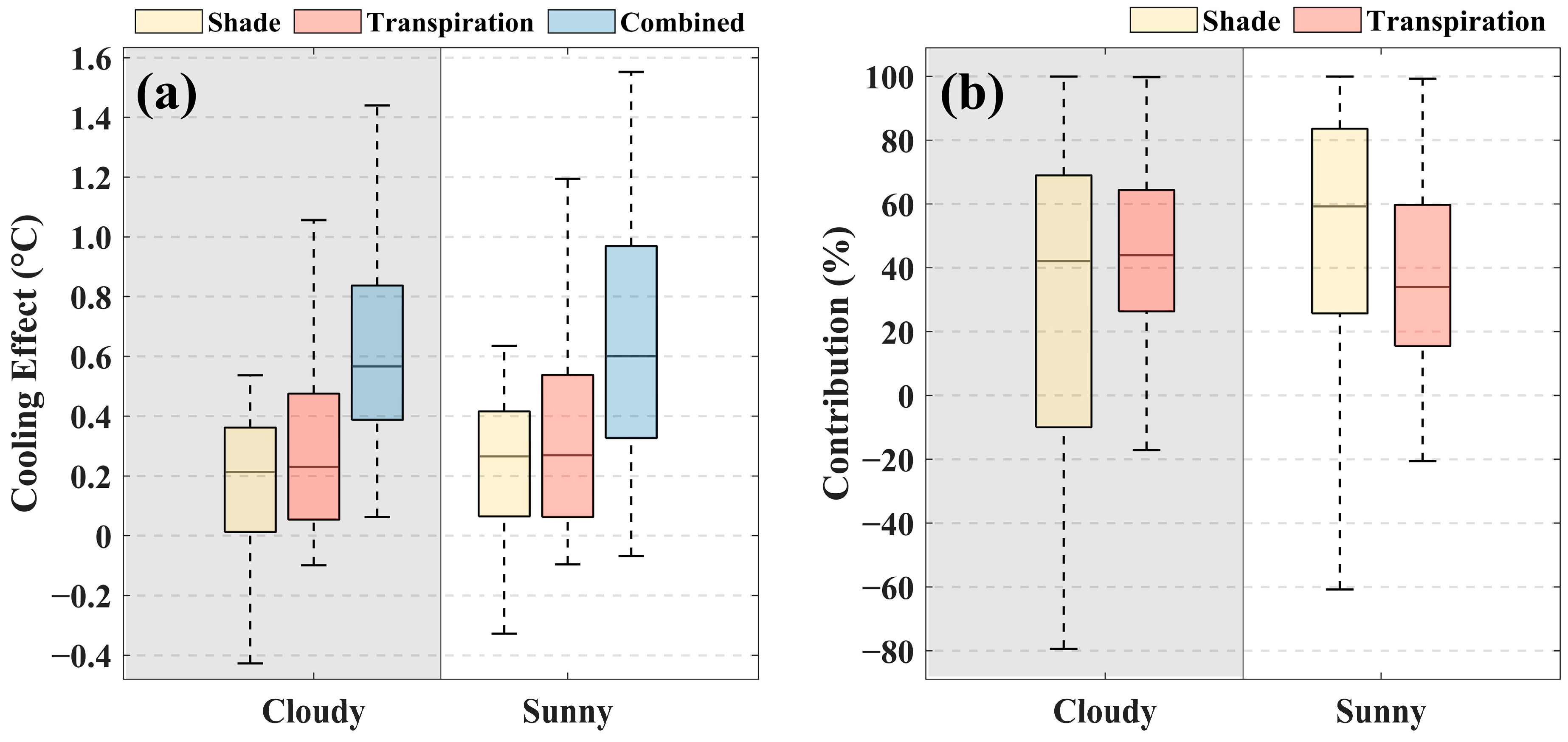 Forests 16 01564 g008