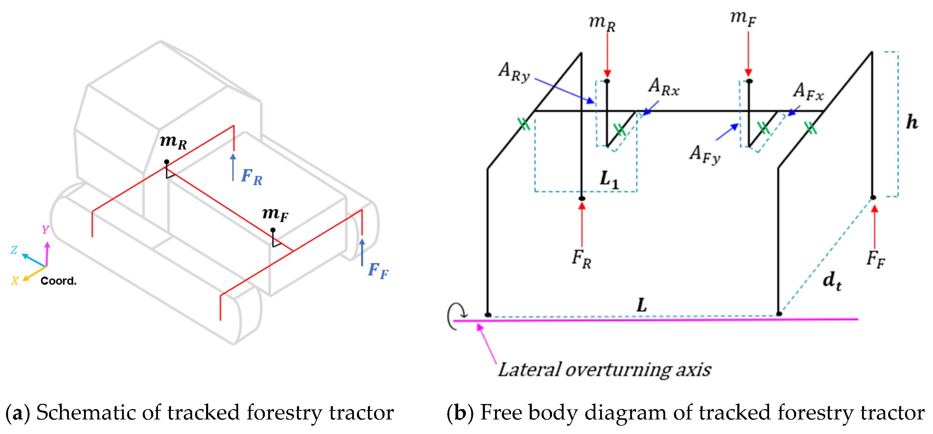Forests 16 01568 g001