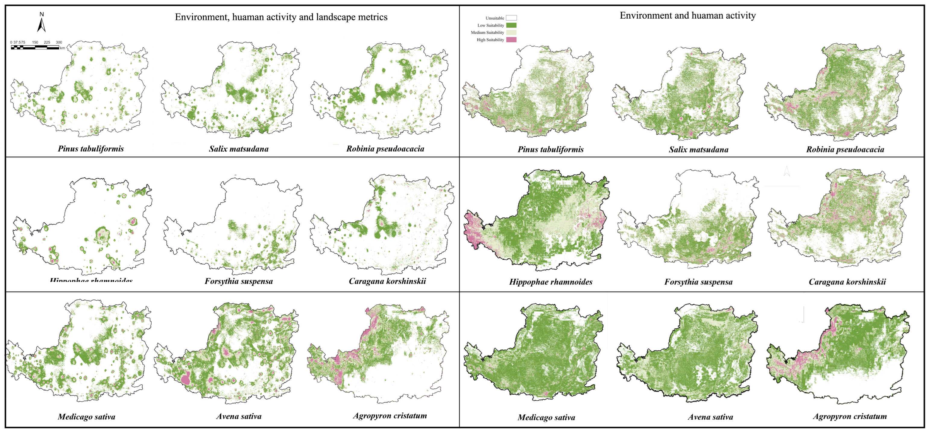 Forests 16 01569 g004 Forests 16 01569 g004