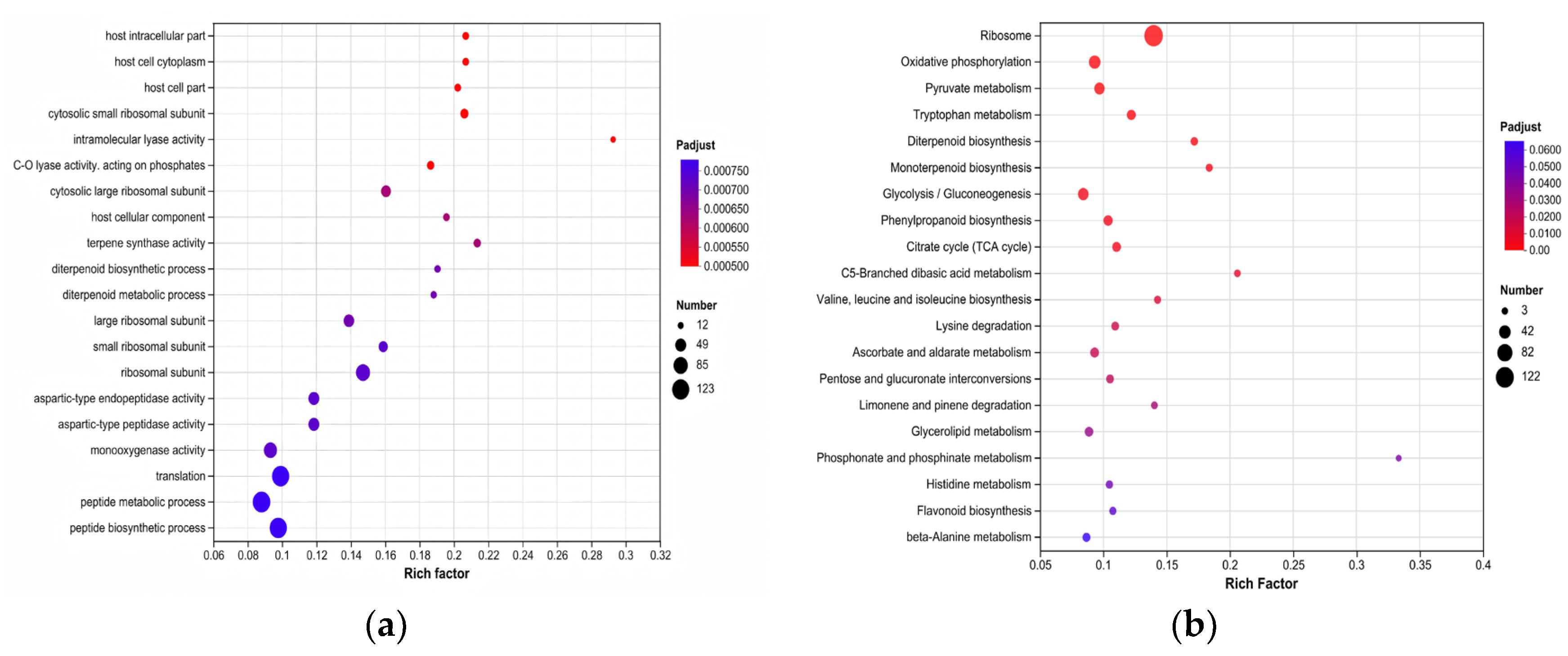 Forests 16 01571 g006