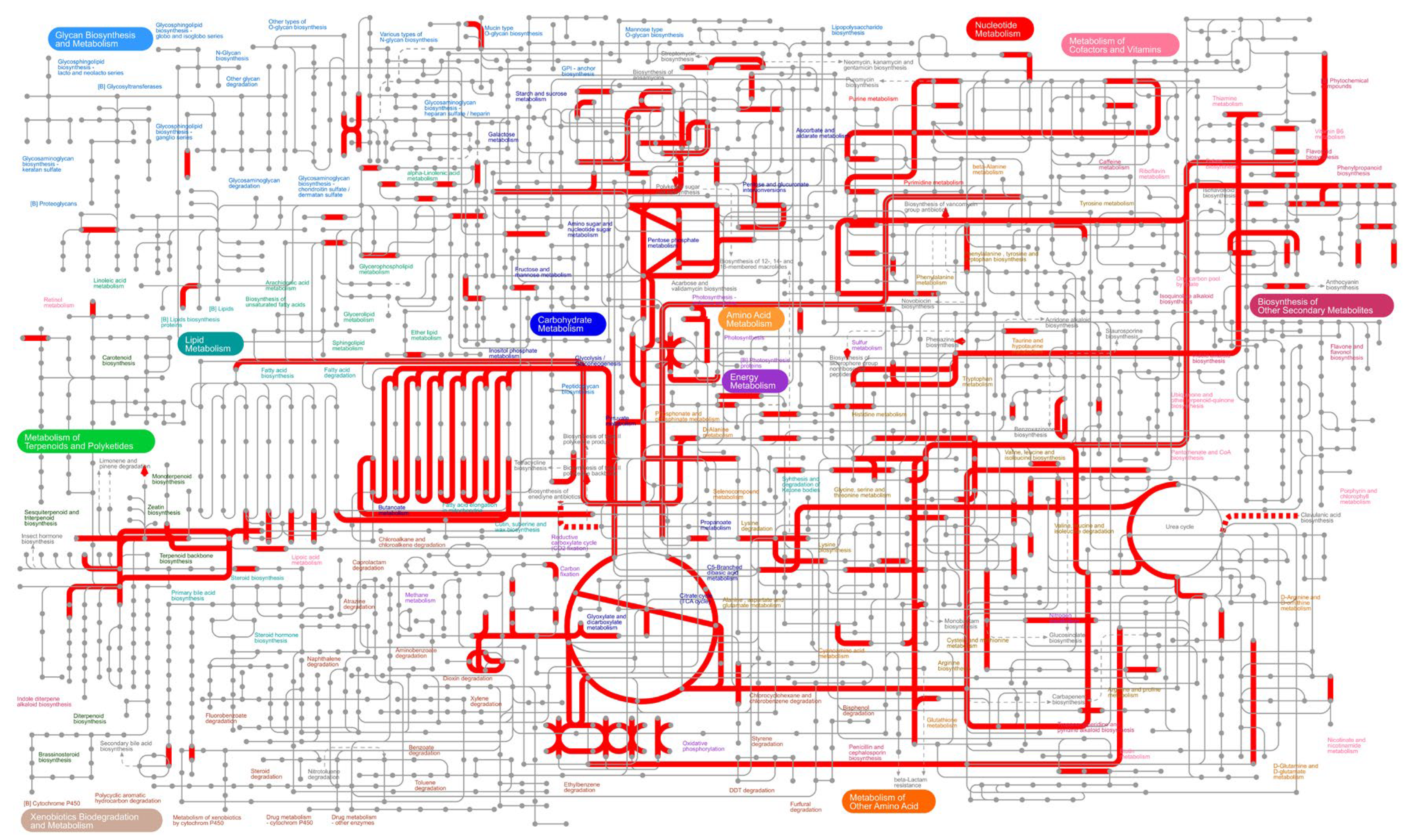 Forests 16 01571 g008
