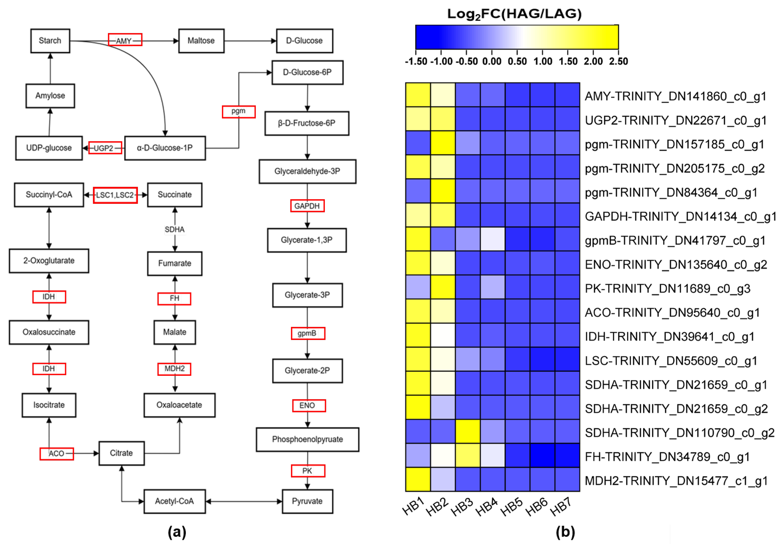 Forests 16 01571 g010