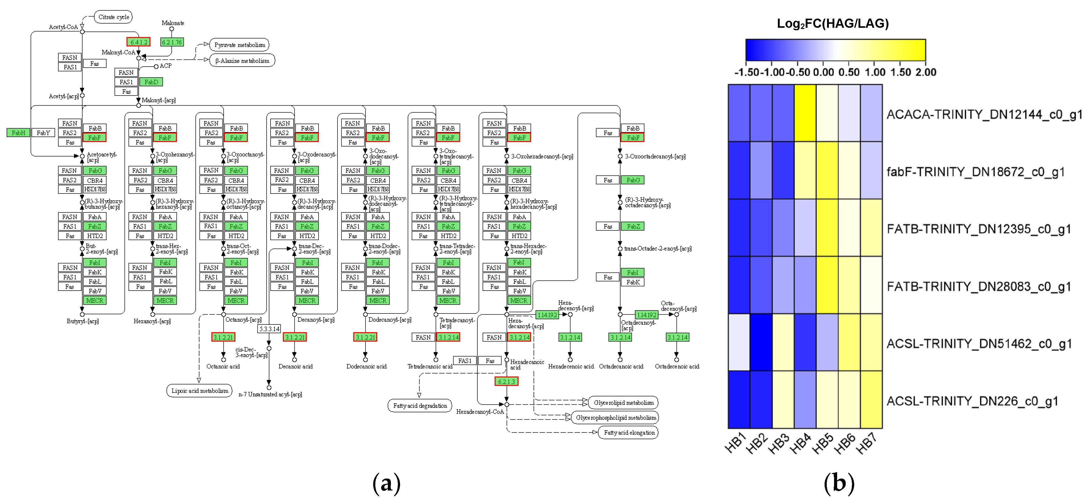 Forests 16 01571 g011