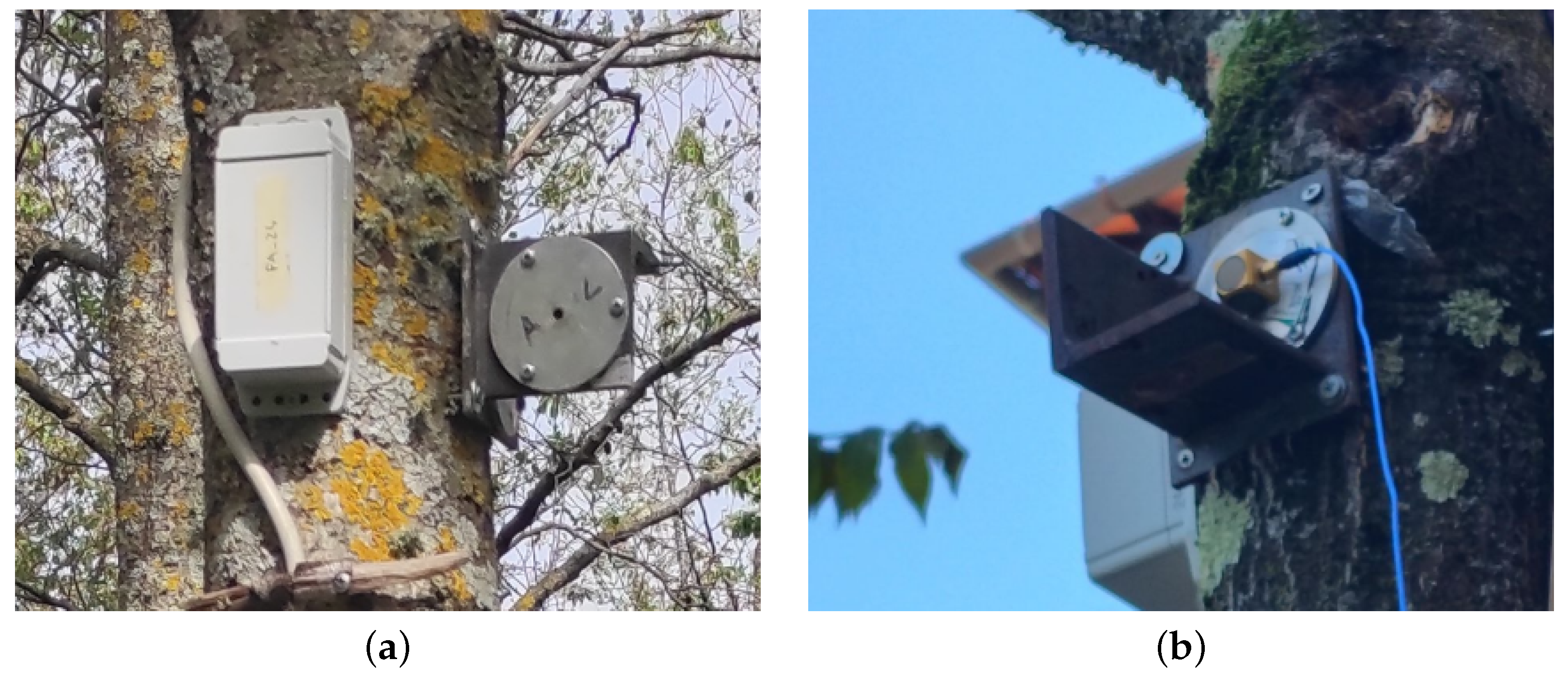 Forests 16 01572 g001