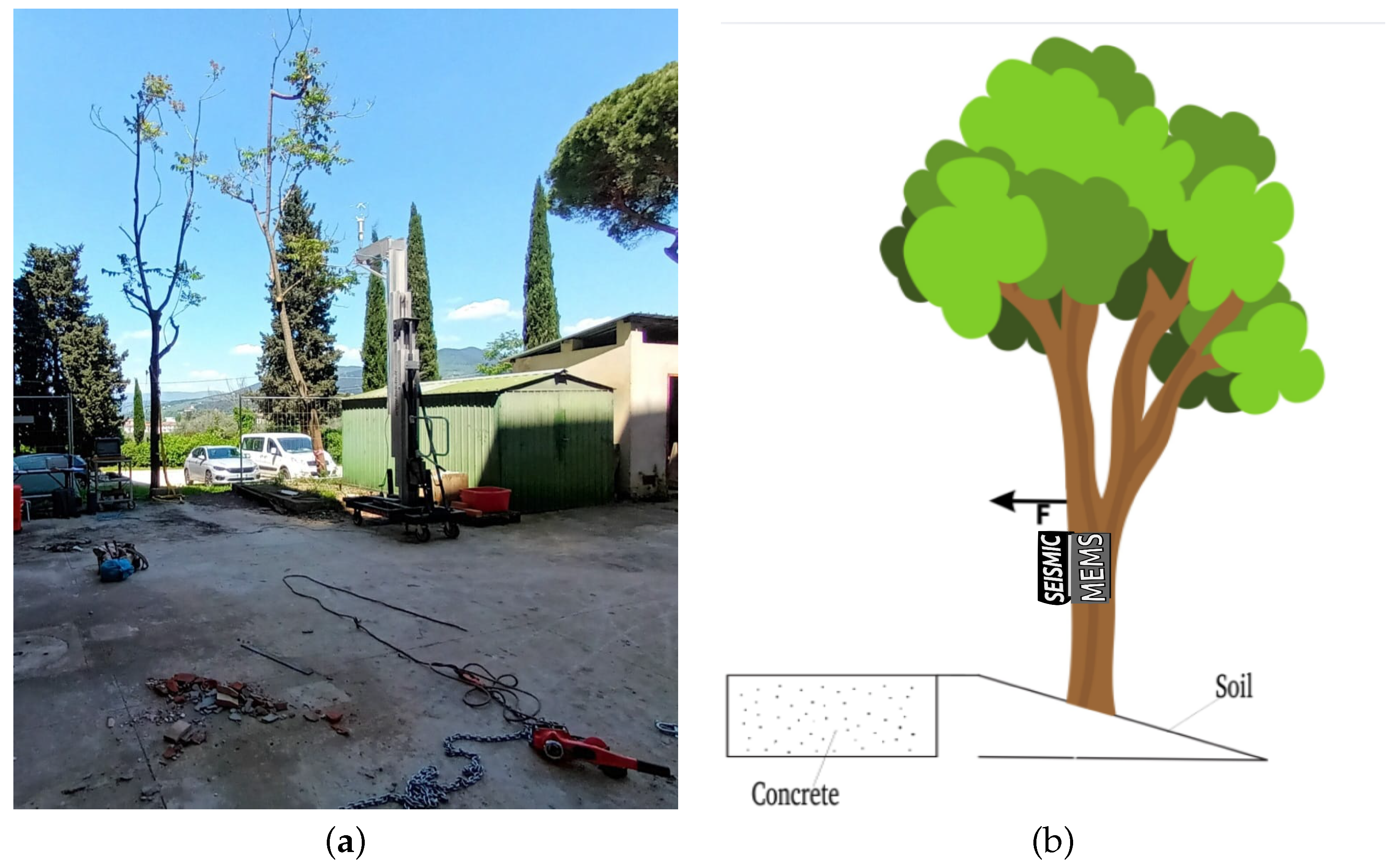 Forests 16 01572 g004