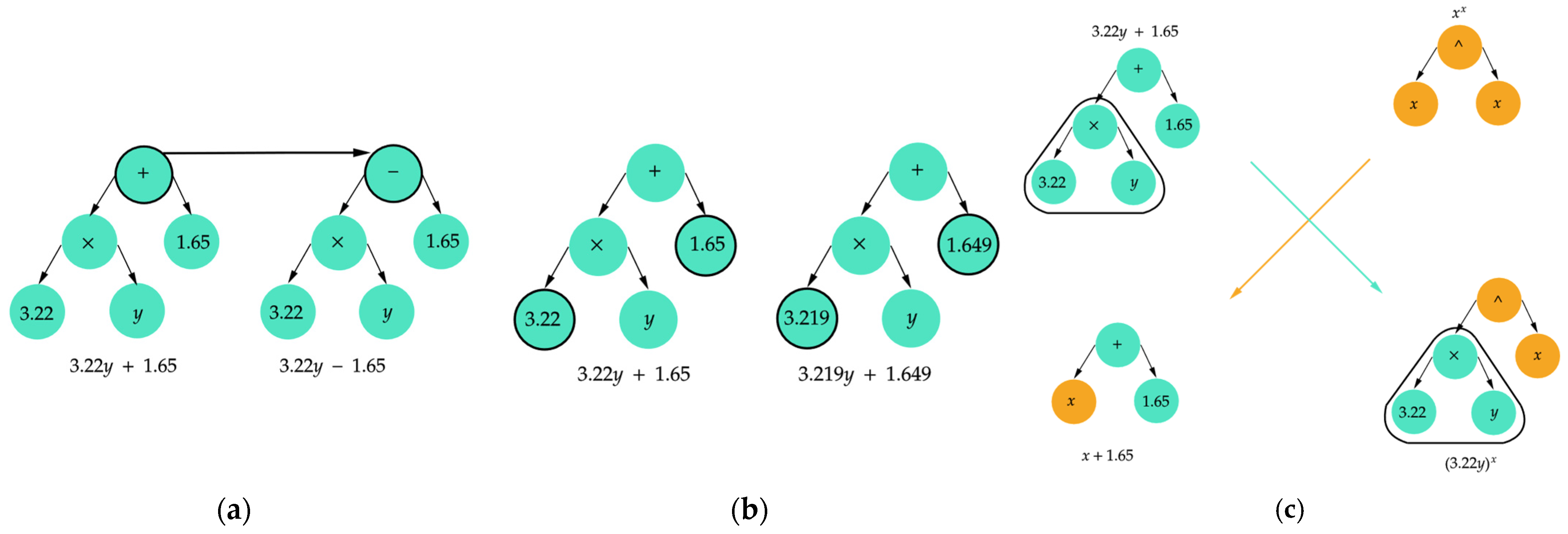 Forests 16 01578 g009