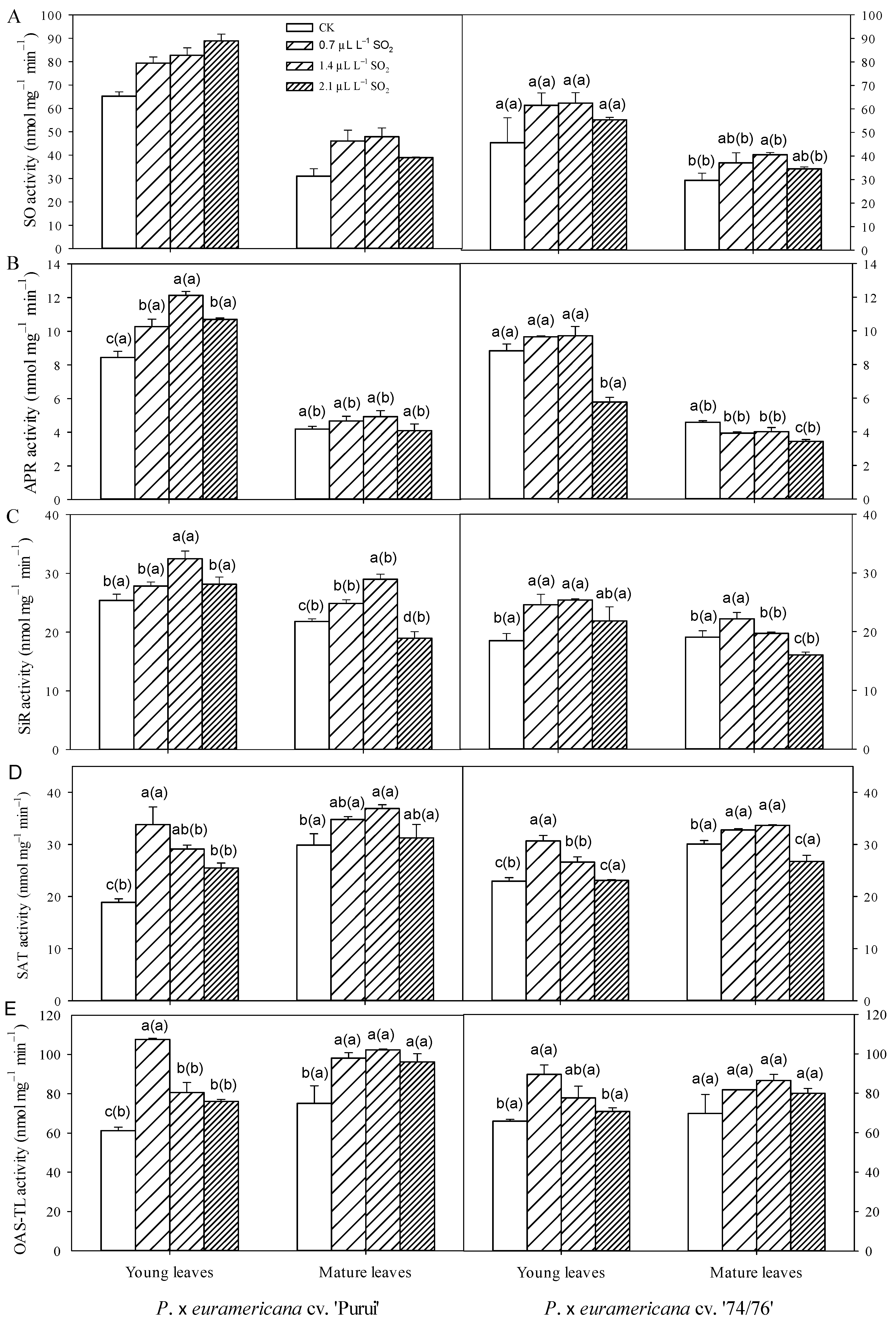 Forests 16 01582 g003