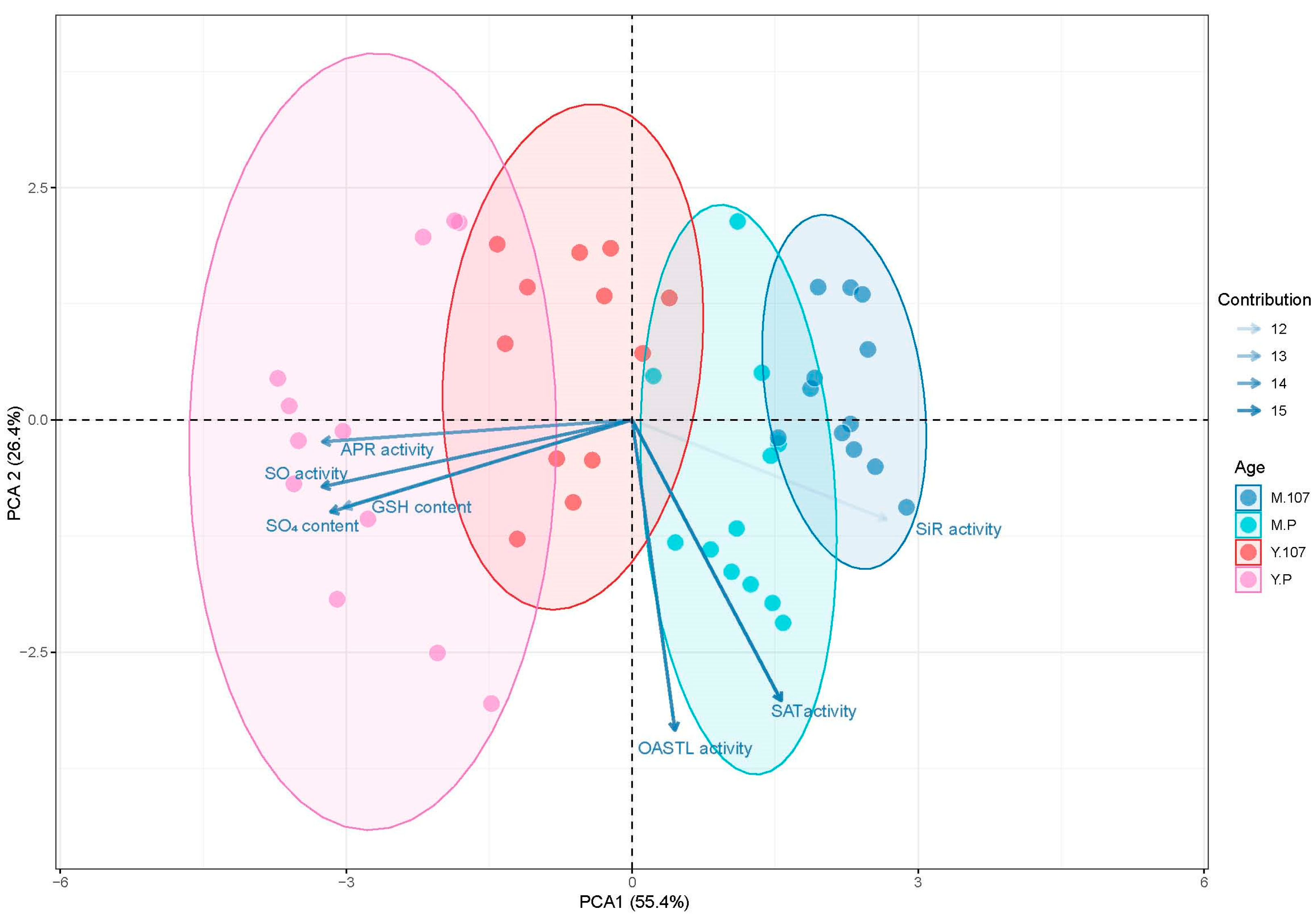 Forests 16 01582 g005