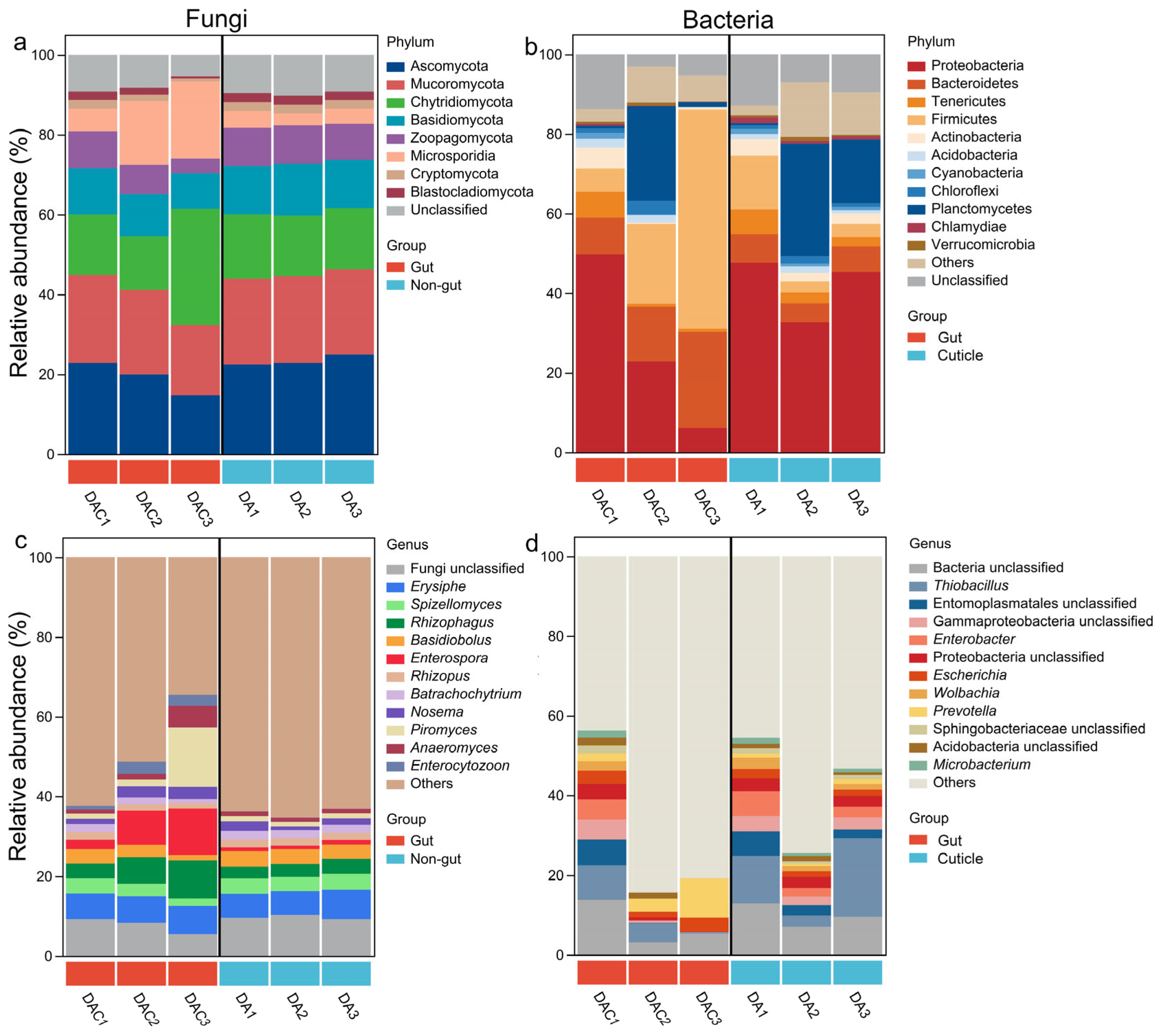 Forests 16 01584 g001